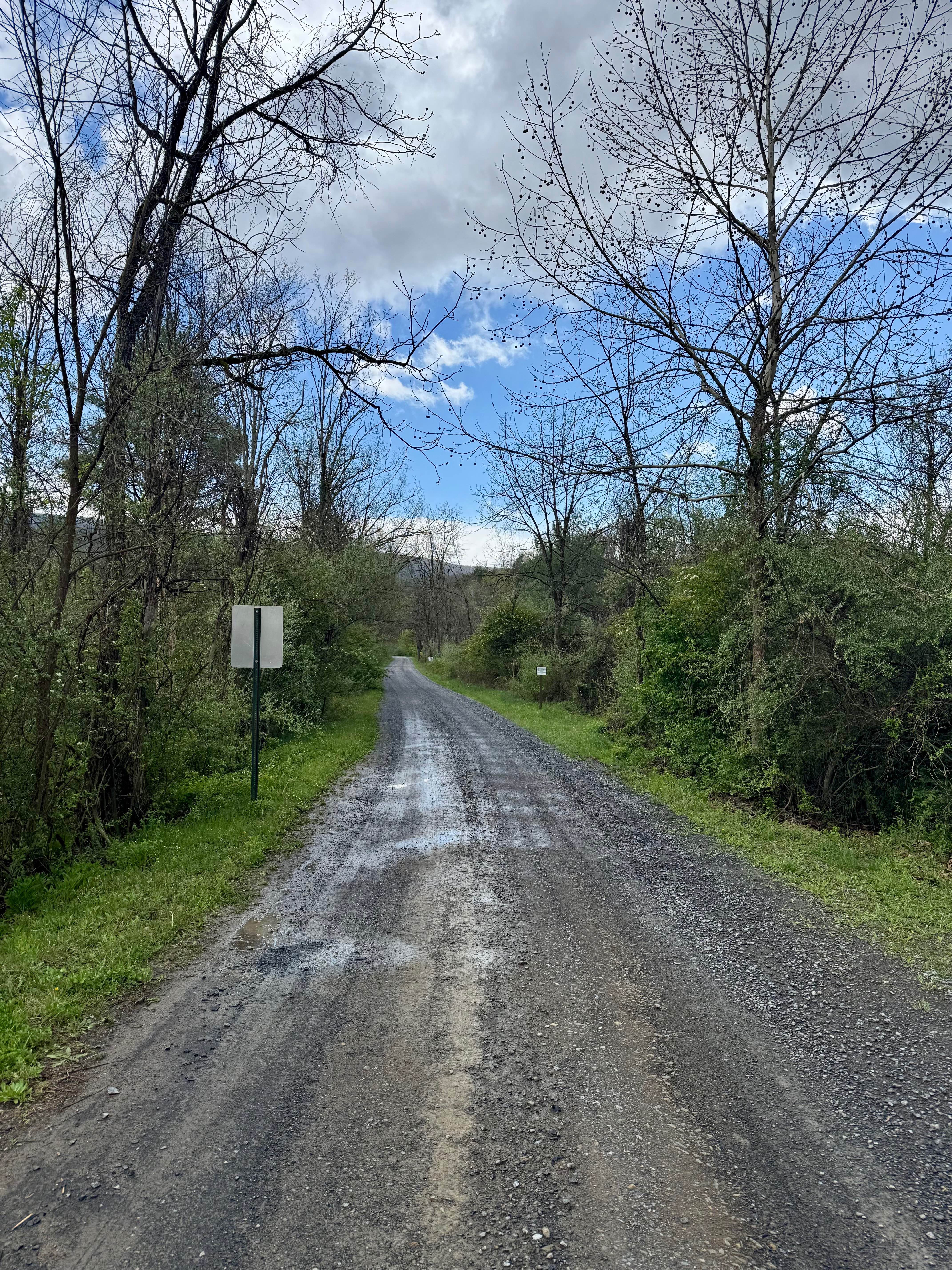 Martin Road