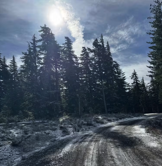 Dead Point - FS 2820