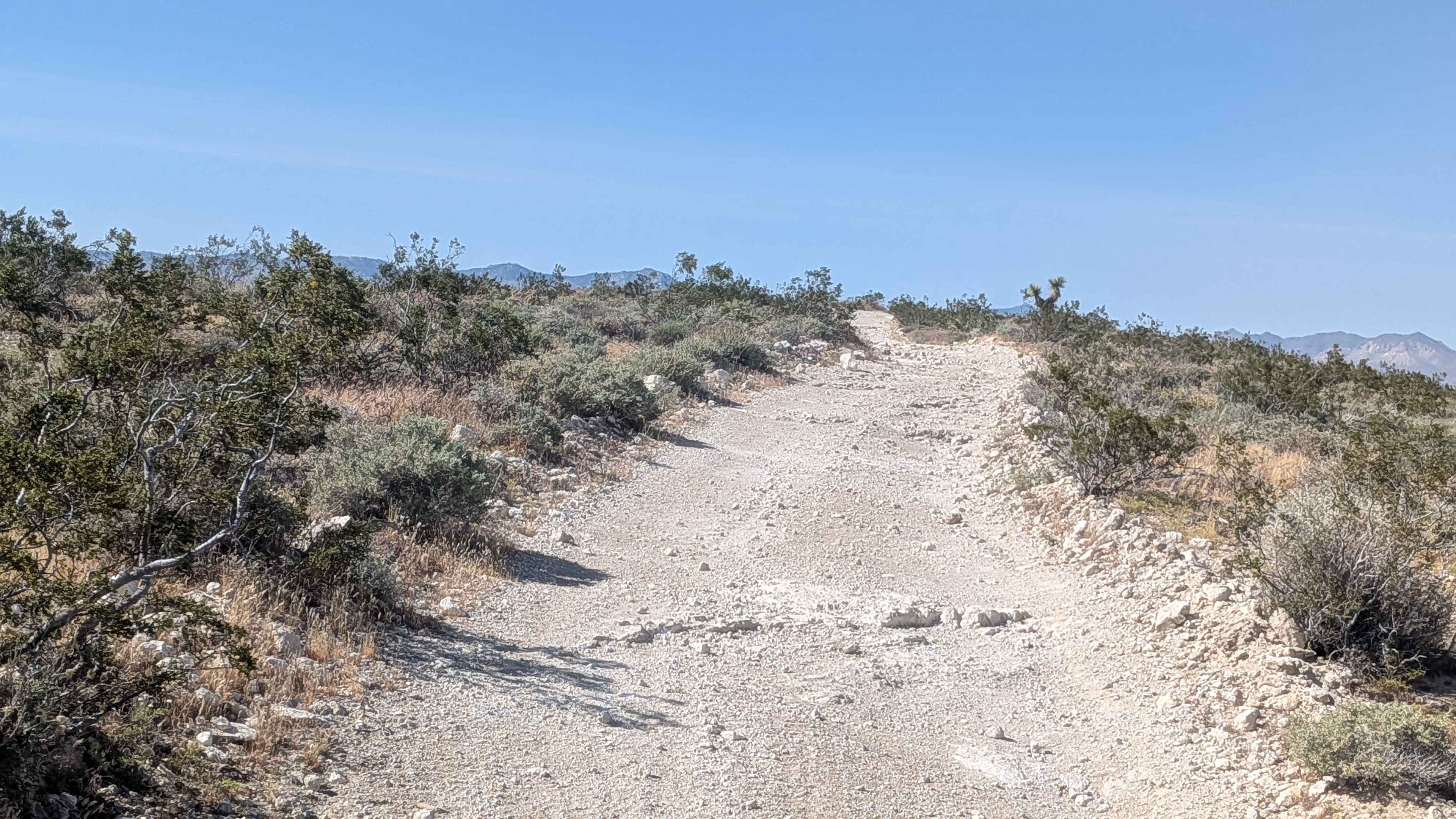 Roaring Ridge Road