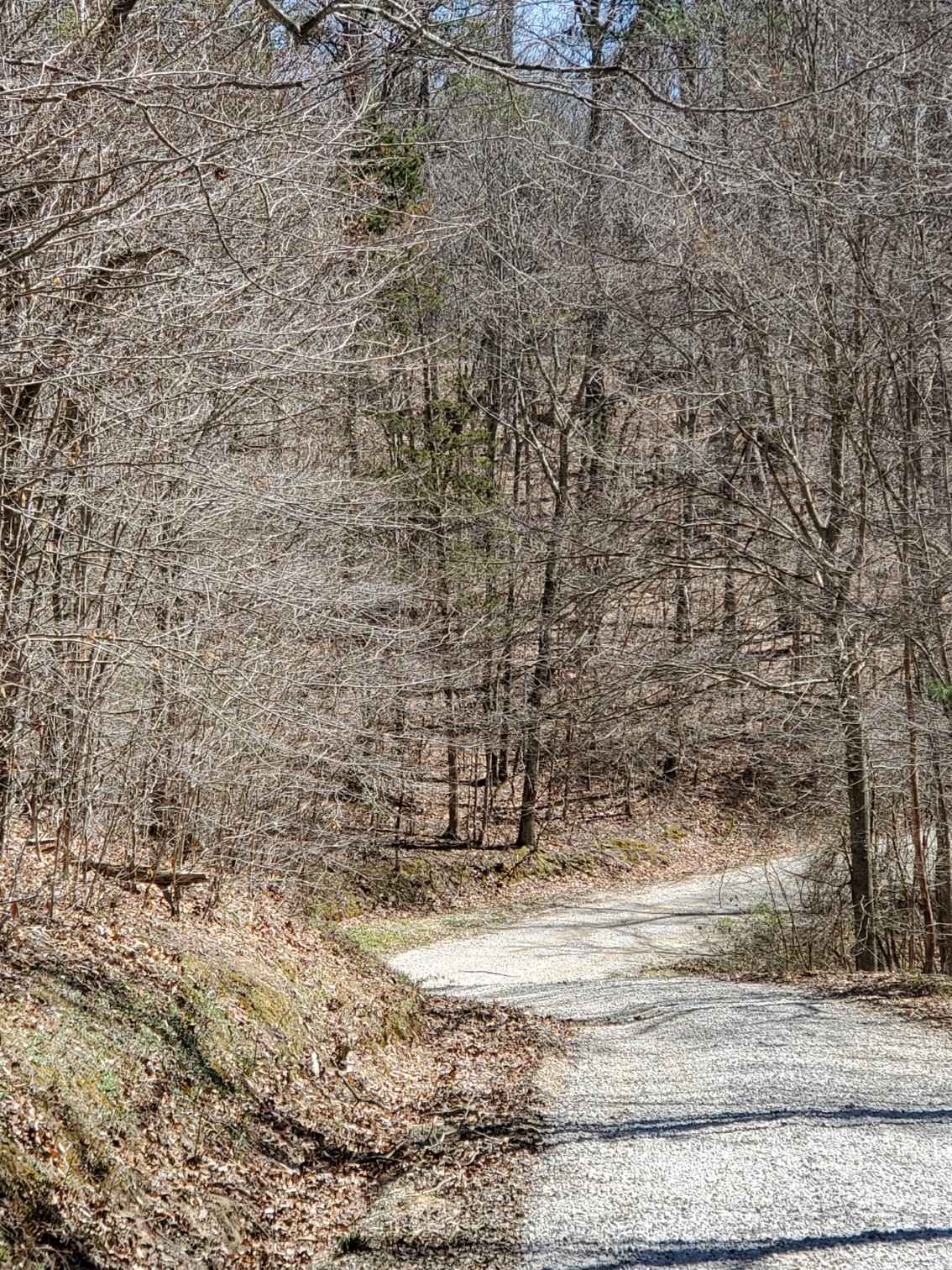 Wagoners Branch Road