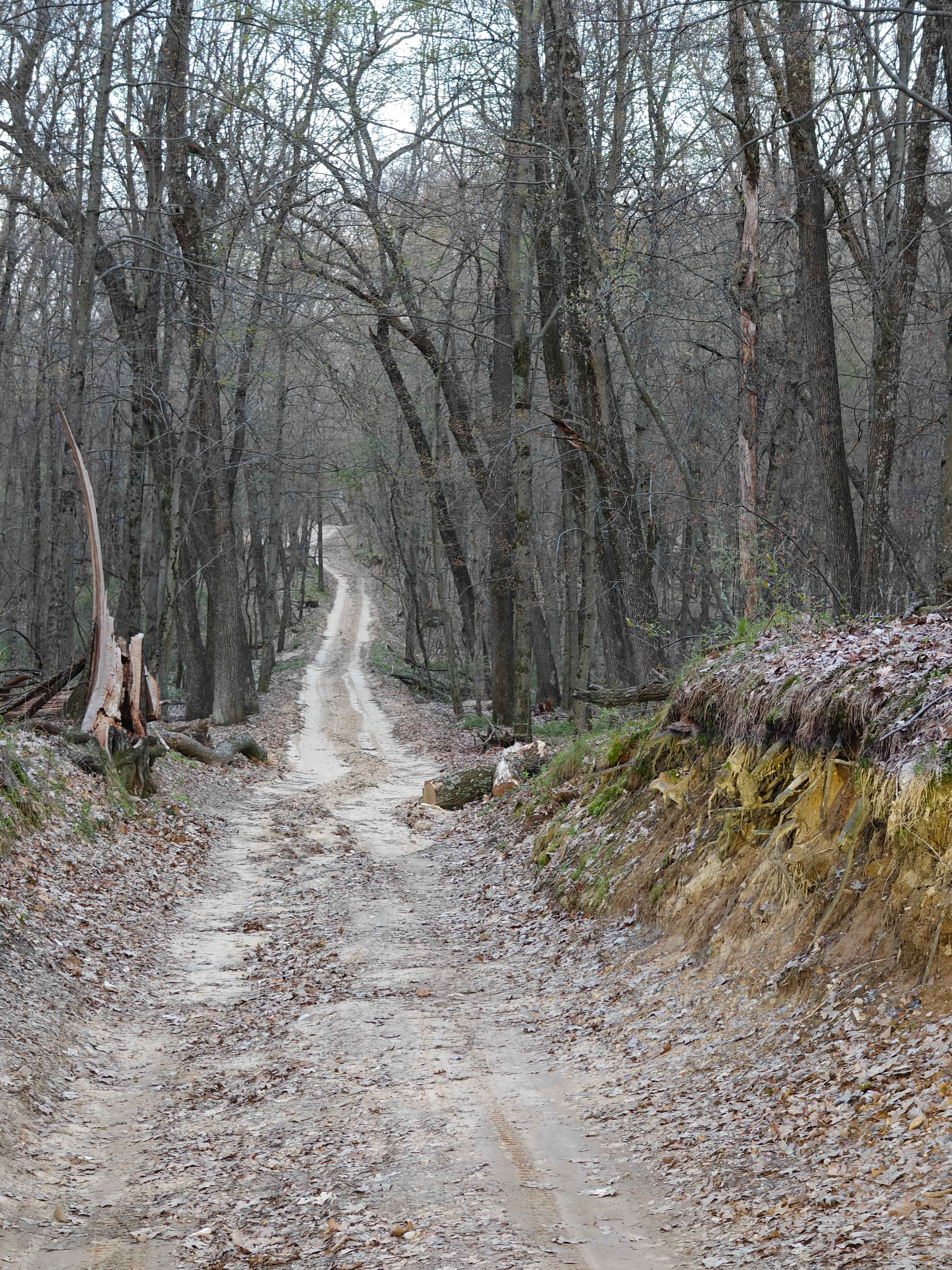 Hart Trail