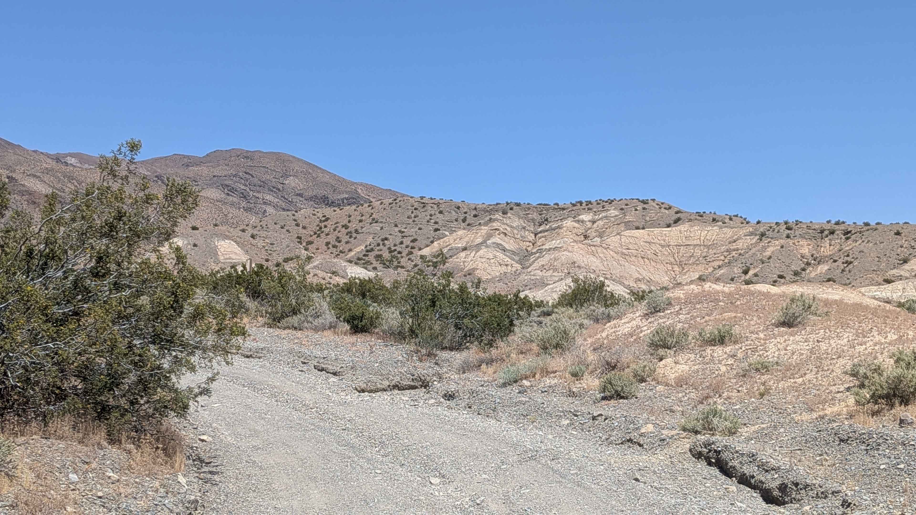 Mesquite Canyon South
