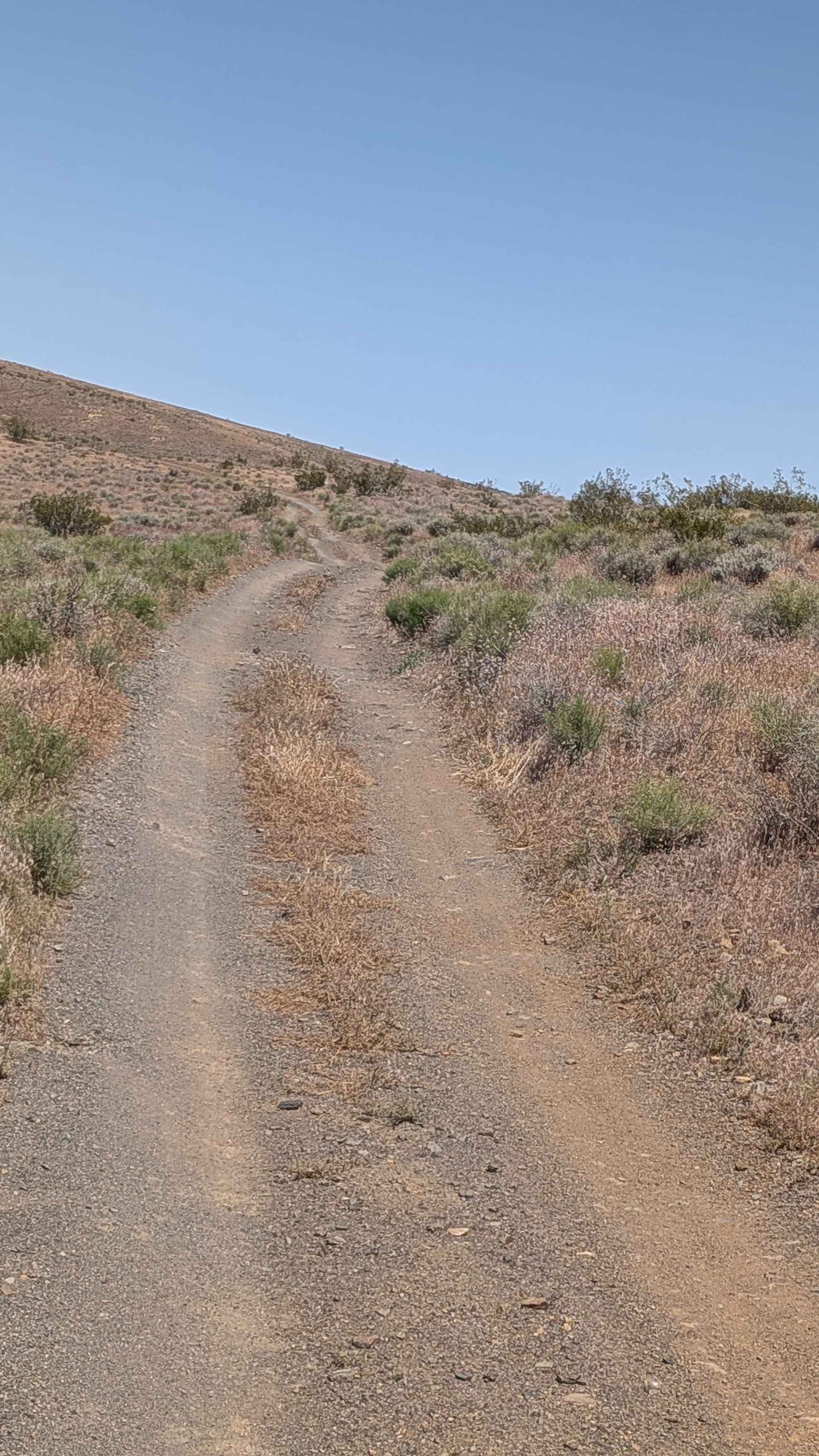Mesquite Canyon South