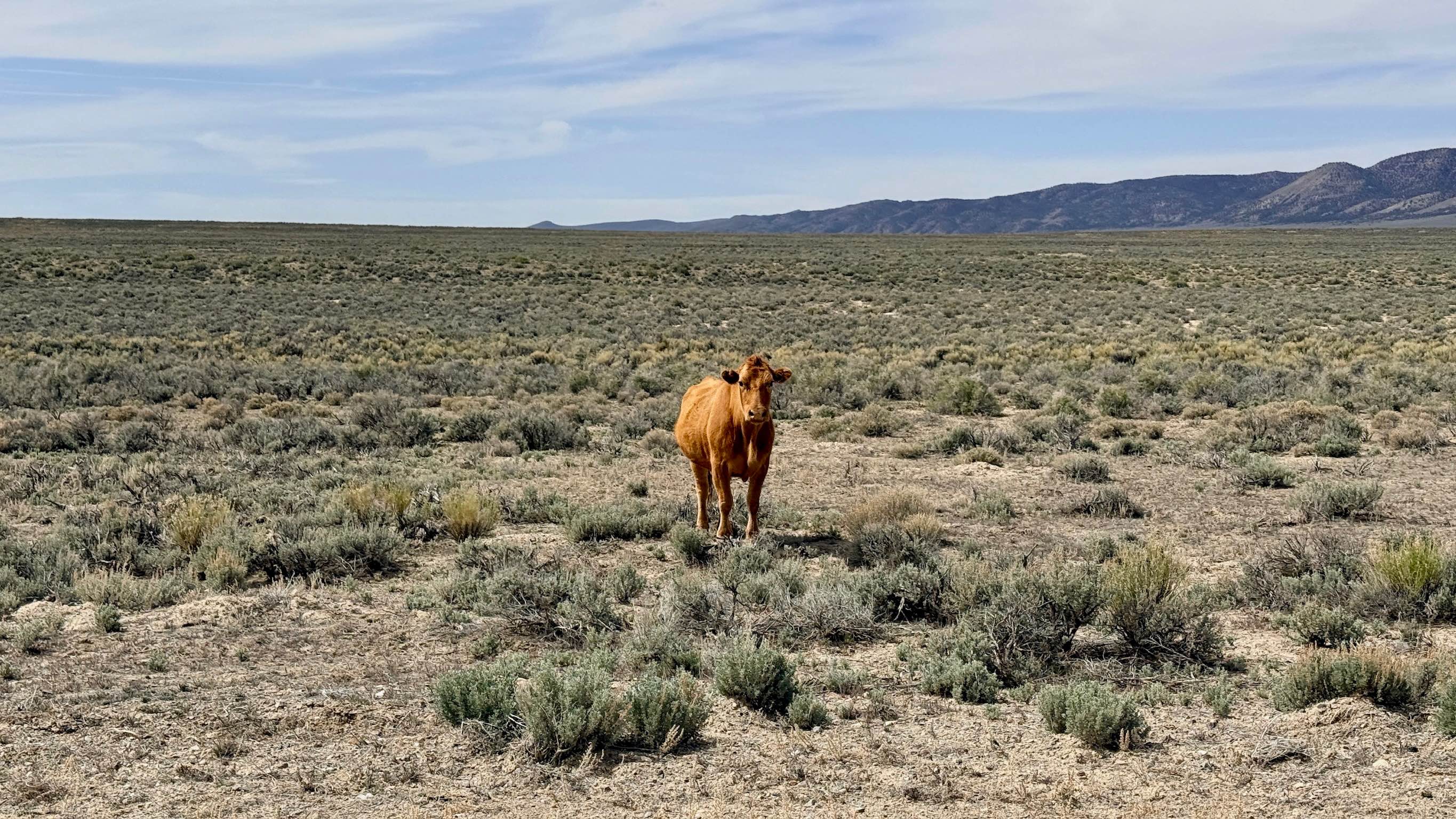 Silver Creek Road