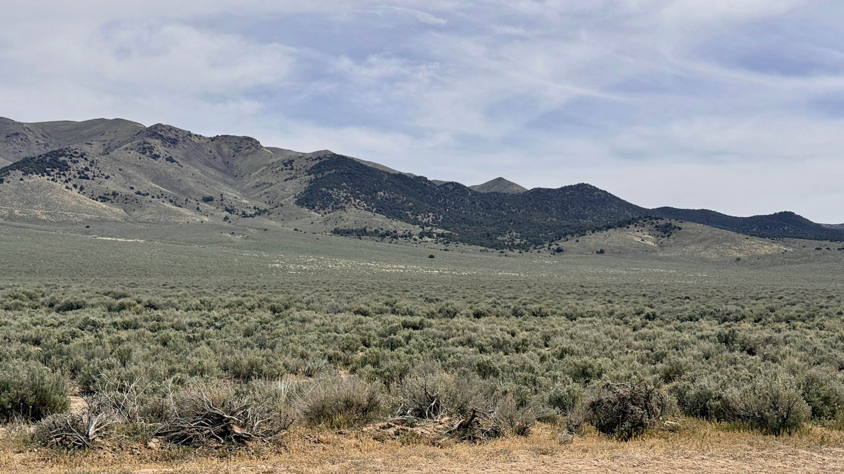 South Old Highway Road