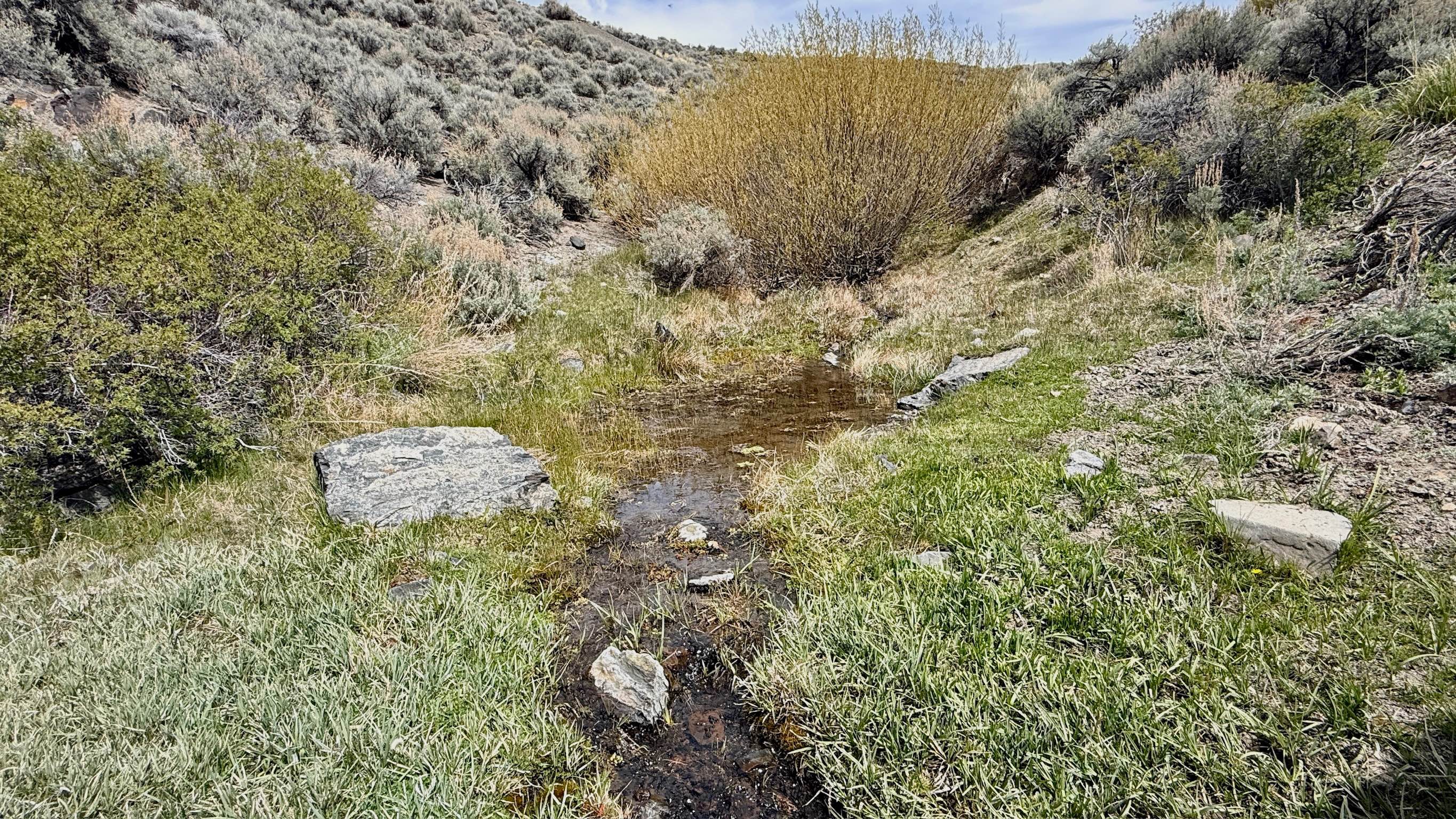 Cottonwood Canyon