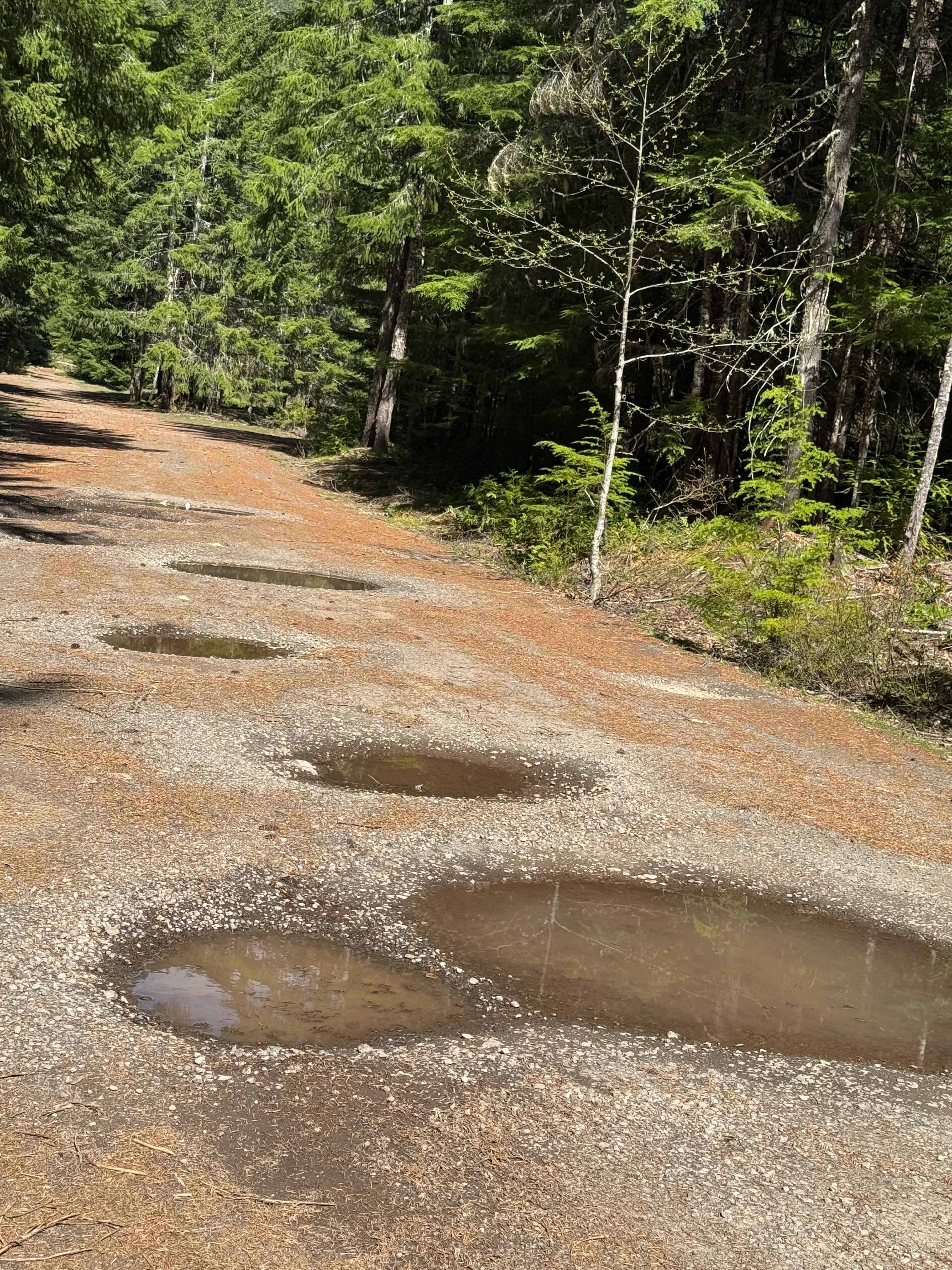 Carlton Creek Road- FS 4400