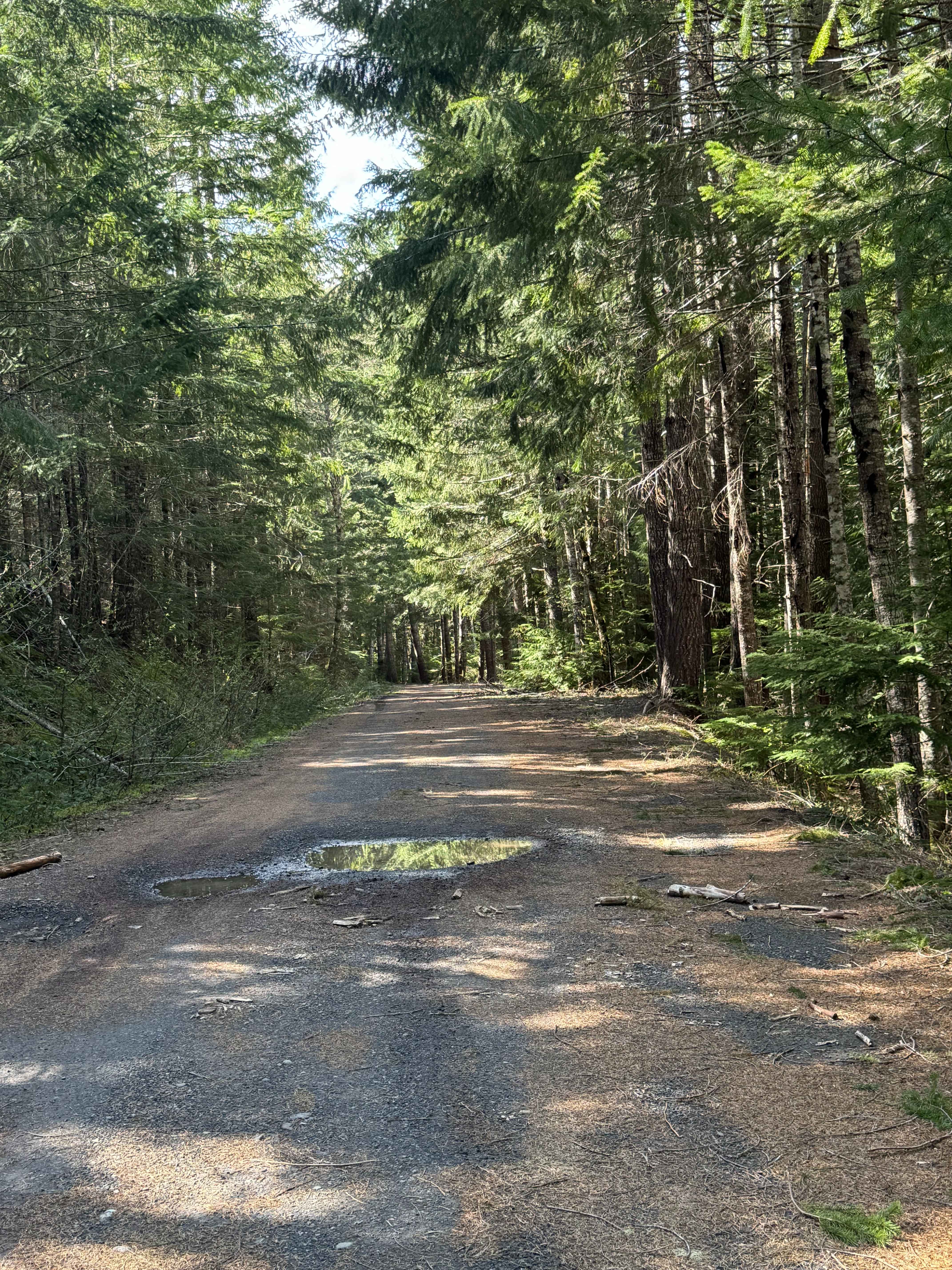 Carlton Creek Road- FS 4400