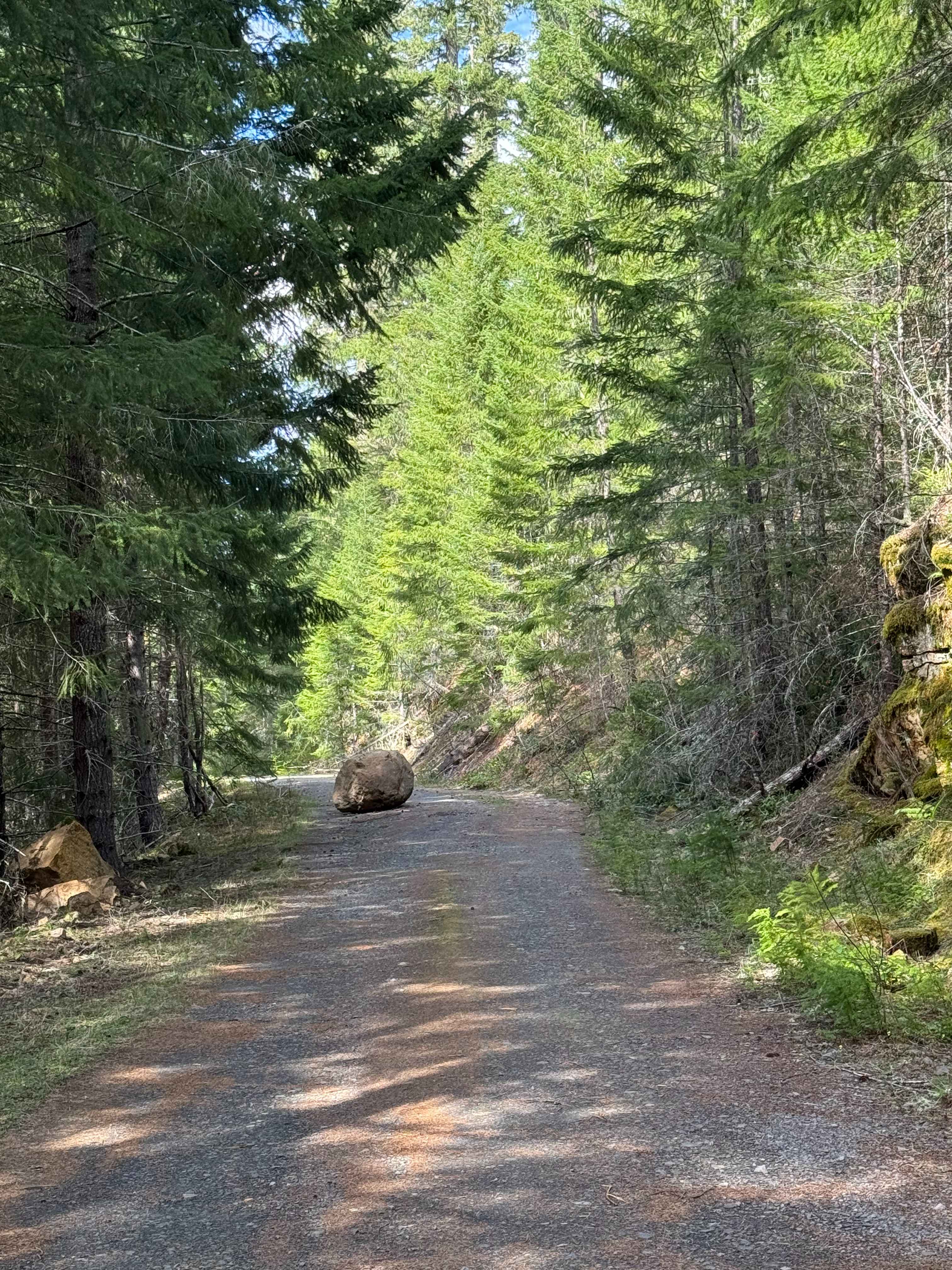 Carlton Road- FS 4400017