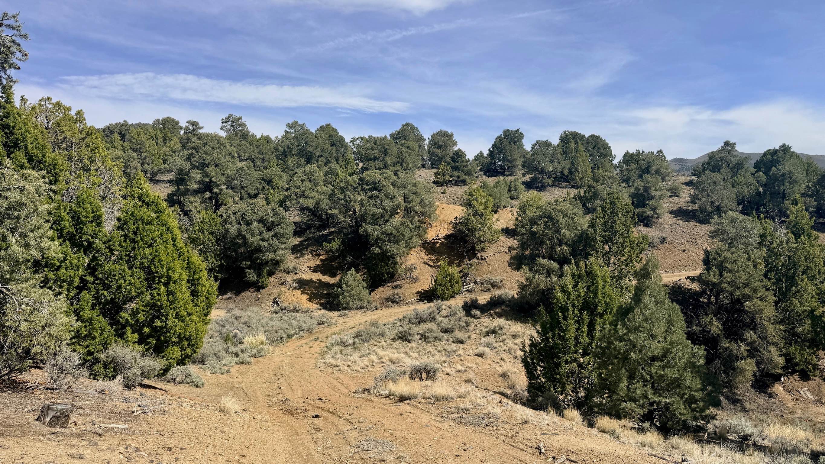 North Silver King Mine - FS 43182