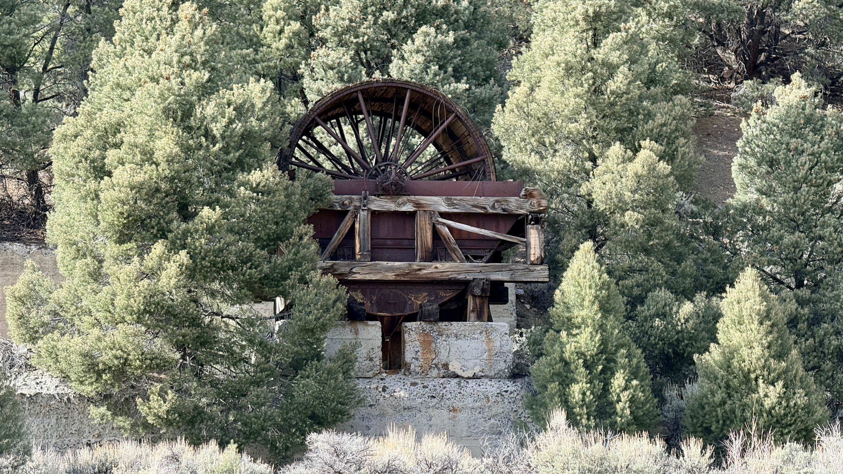 Yankee Blade Loop (FS43184)