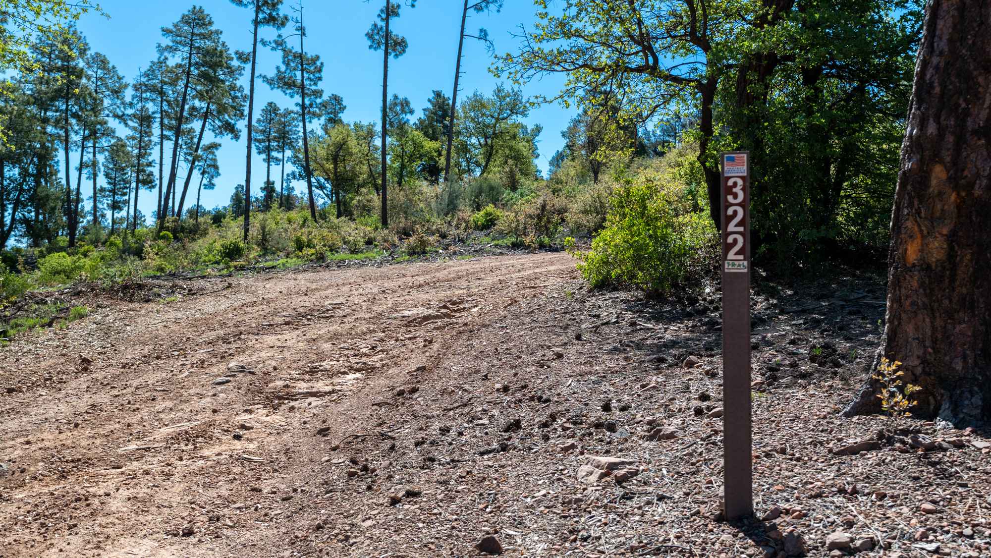 Cedar Mesa - FS 322