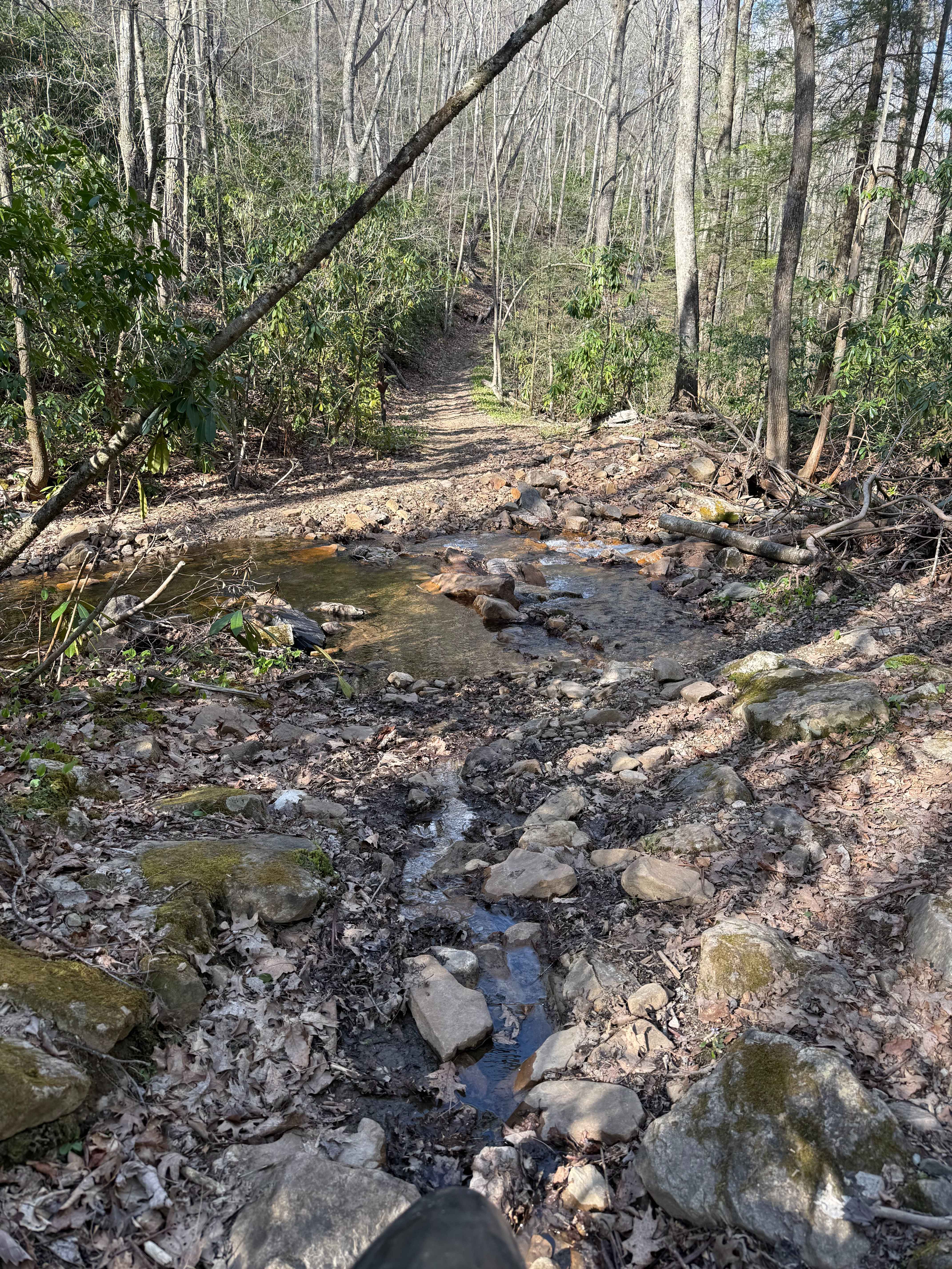 Barton Gap