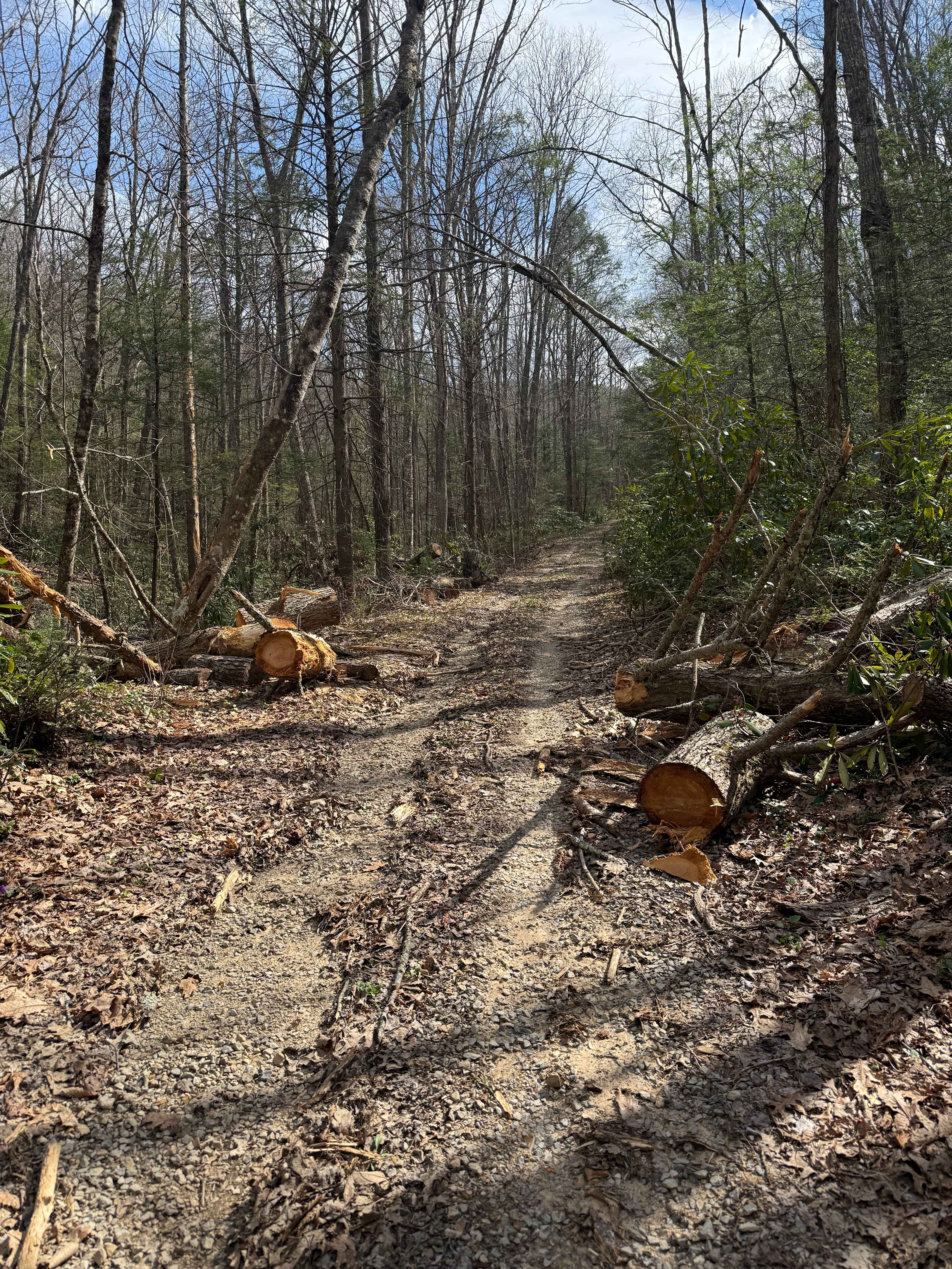 Quarter Branch Road