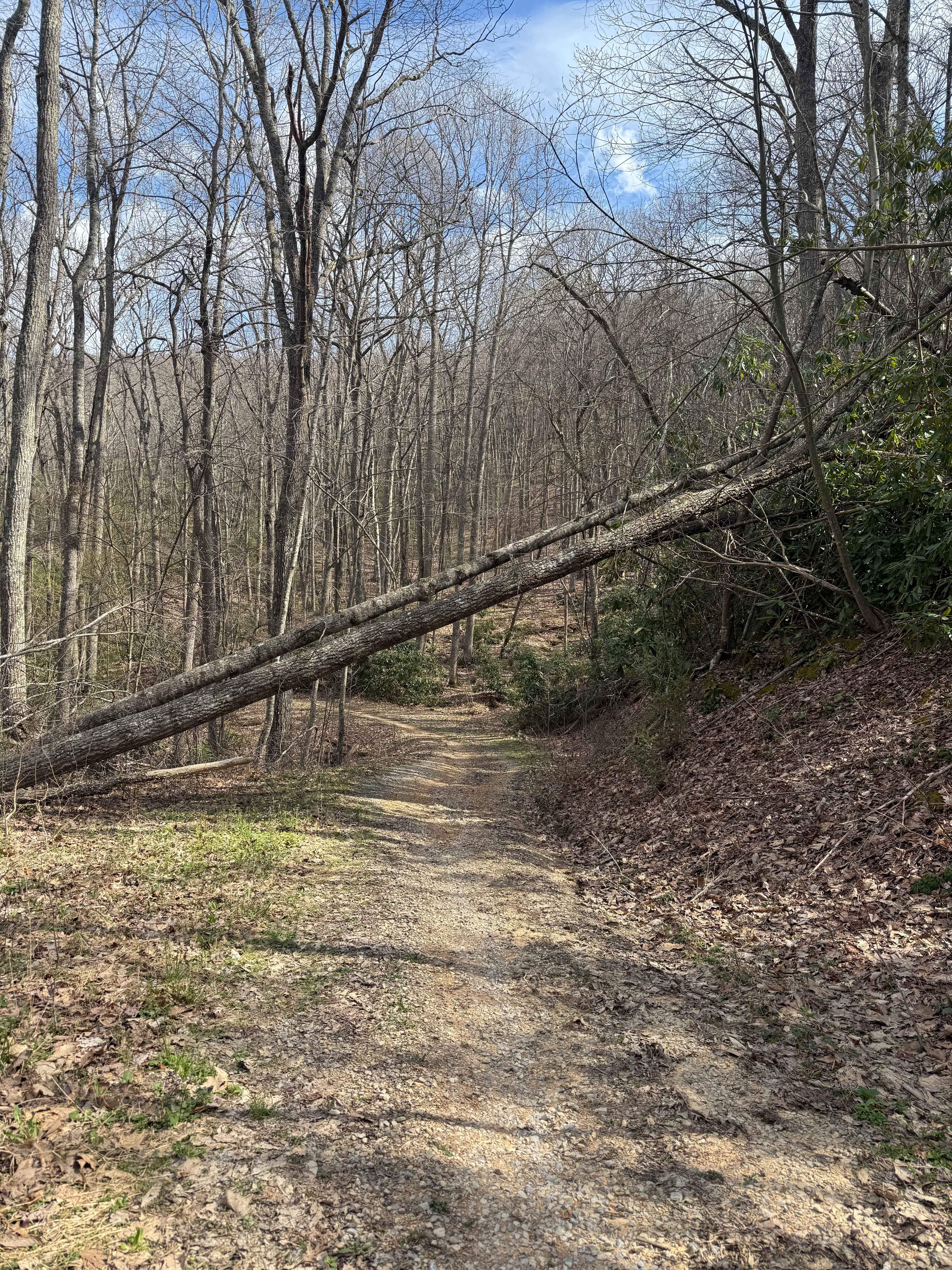 Quarter Branch Road