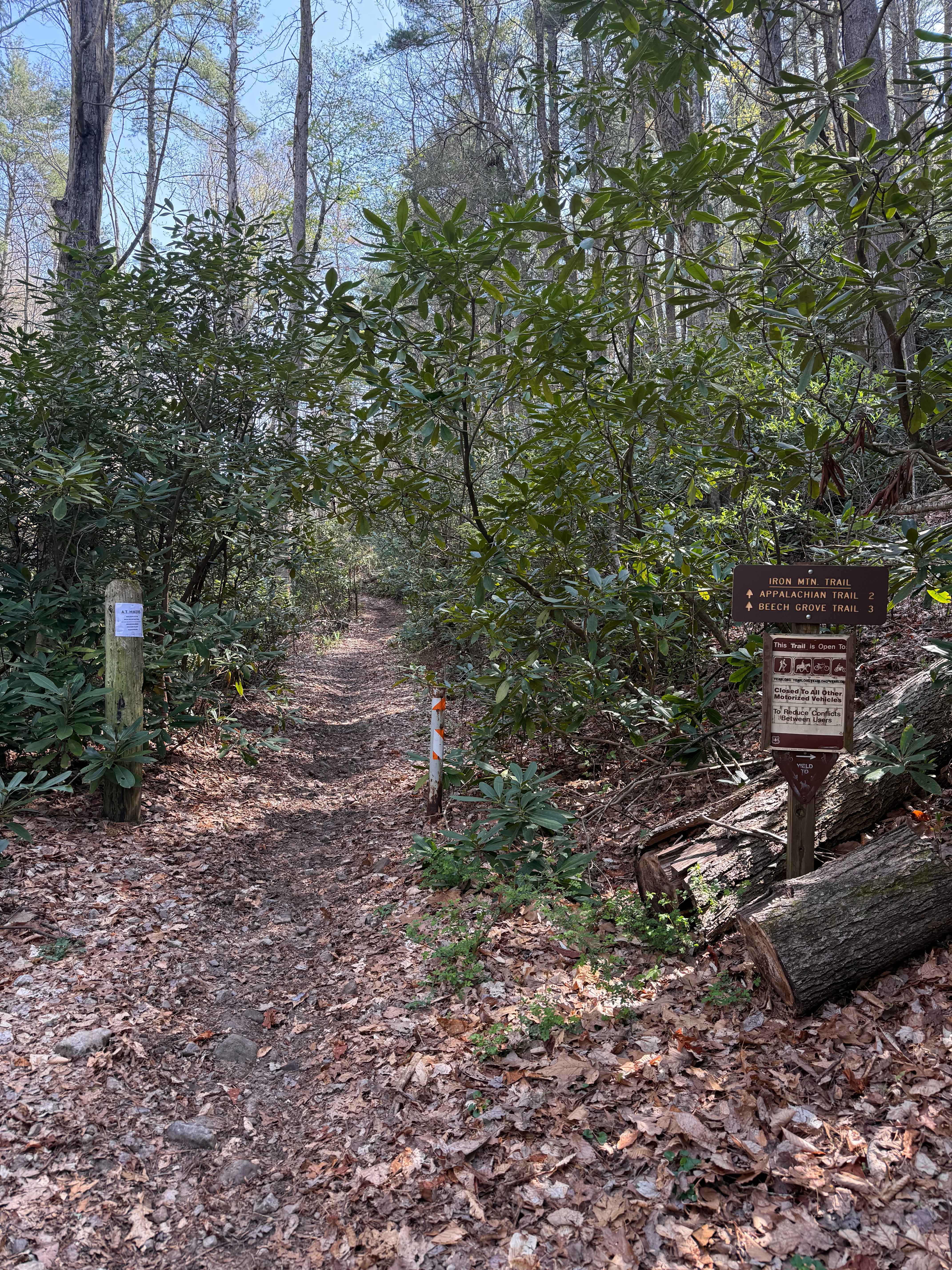 Iron Mountain Spur A