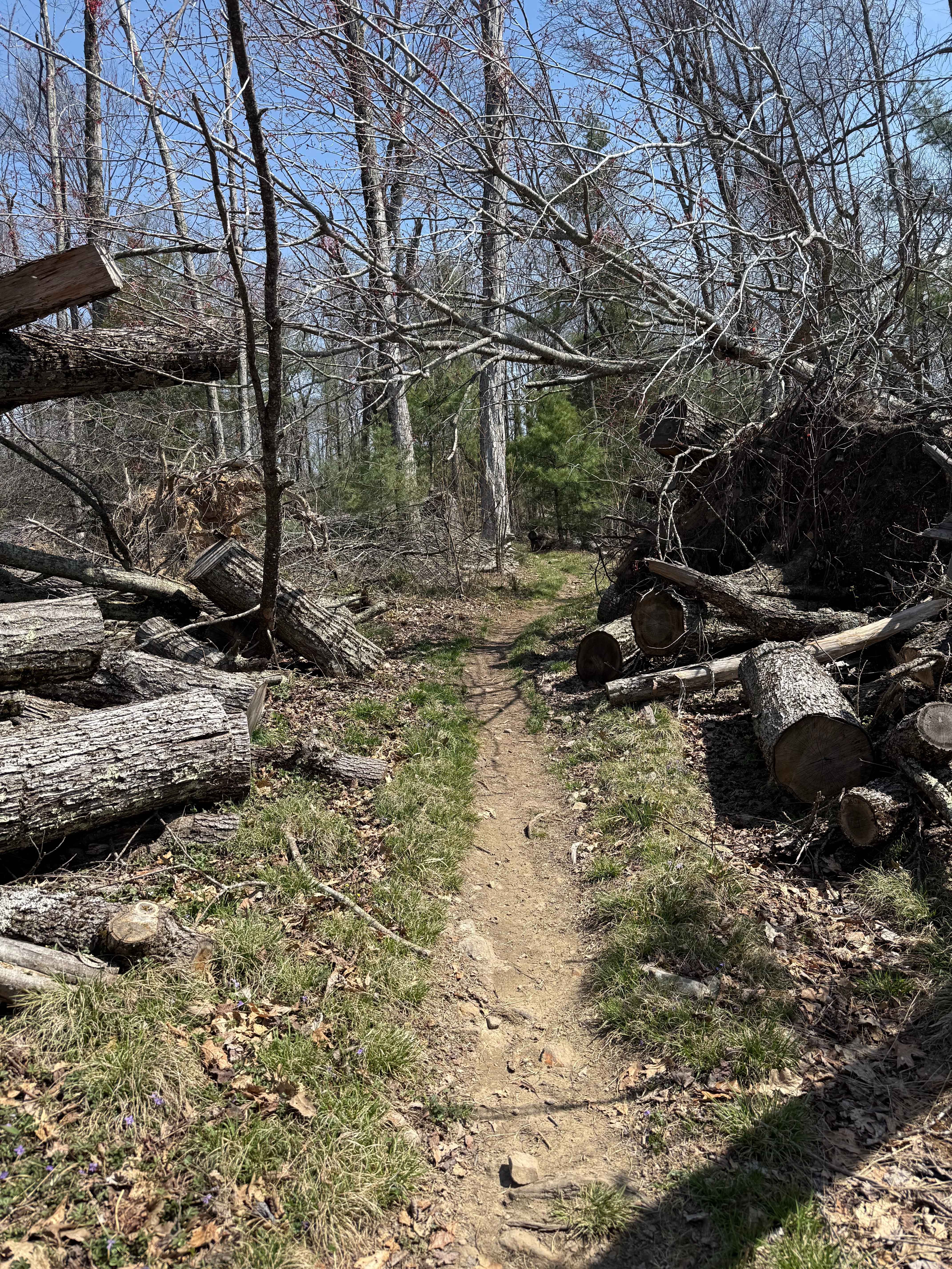 Iron Mountain Spur B