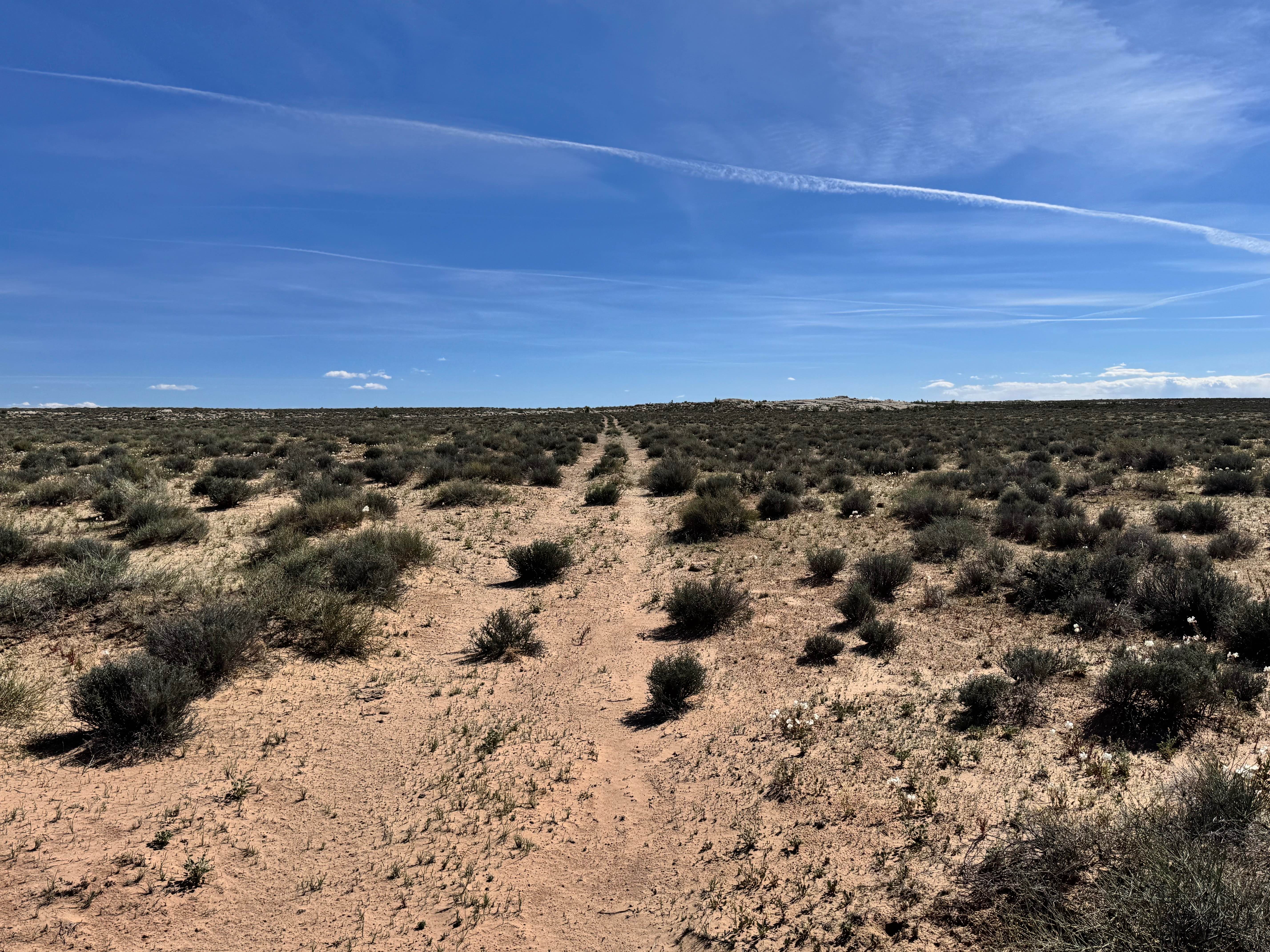 Orange Trail Overlook
