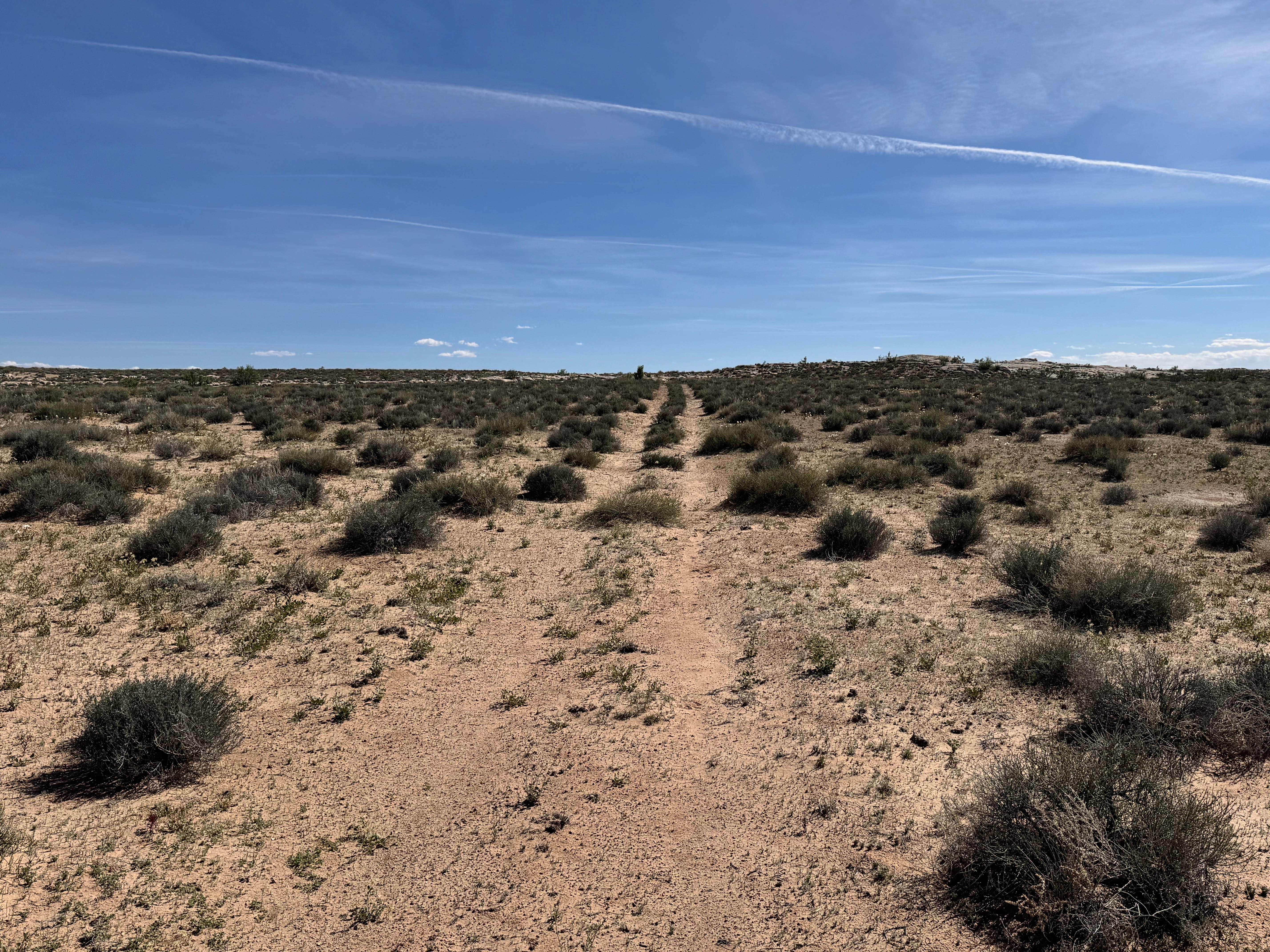 Orange Trail Overlook