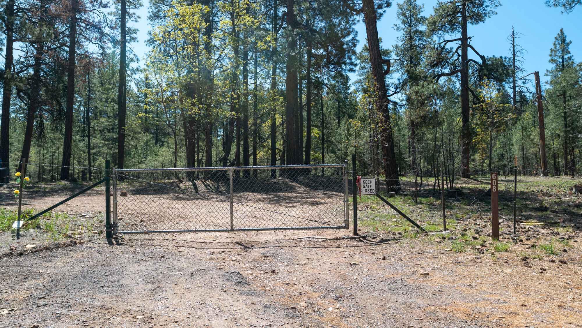Rock Wall Trail - FS 608