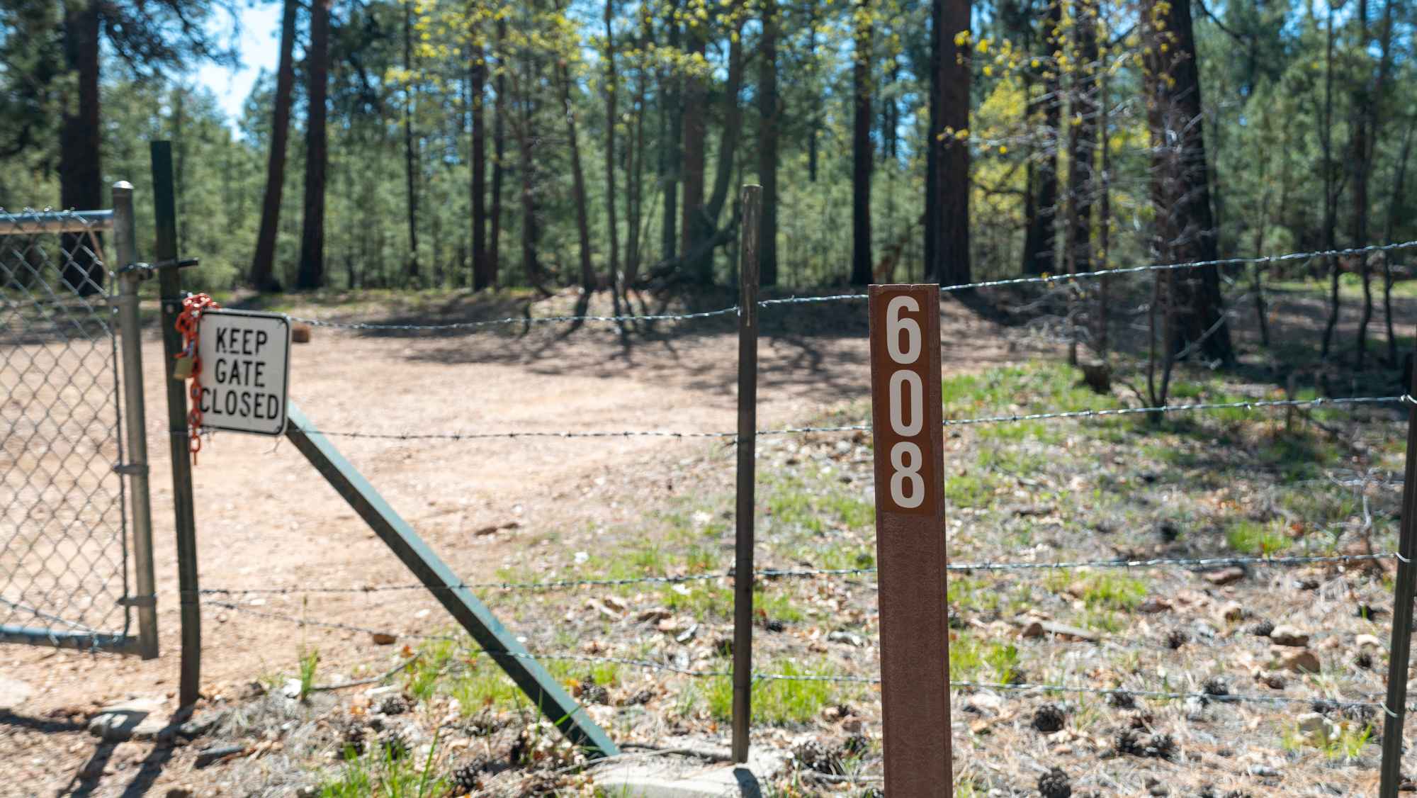 Rock Wall Trail - FS 608
