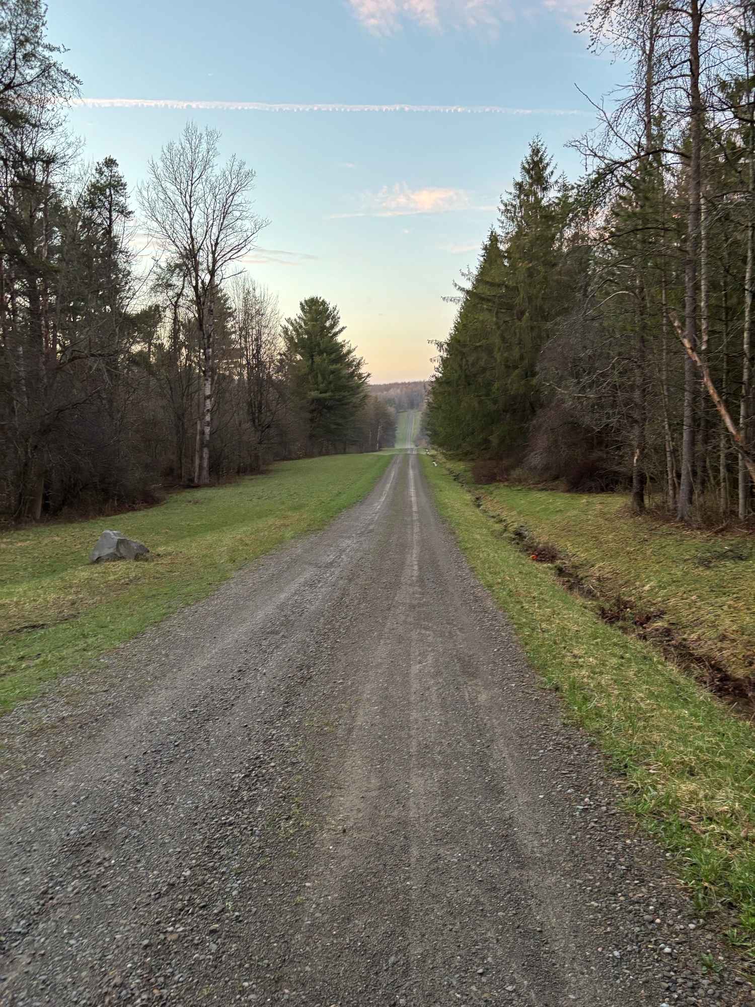 Stewart Forest Road