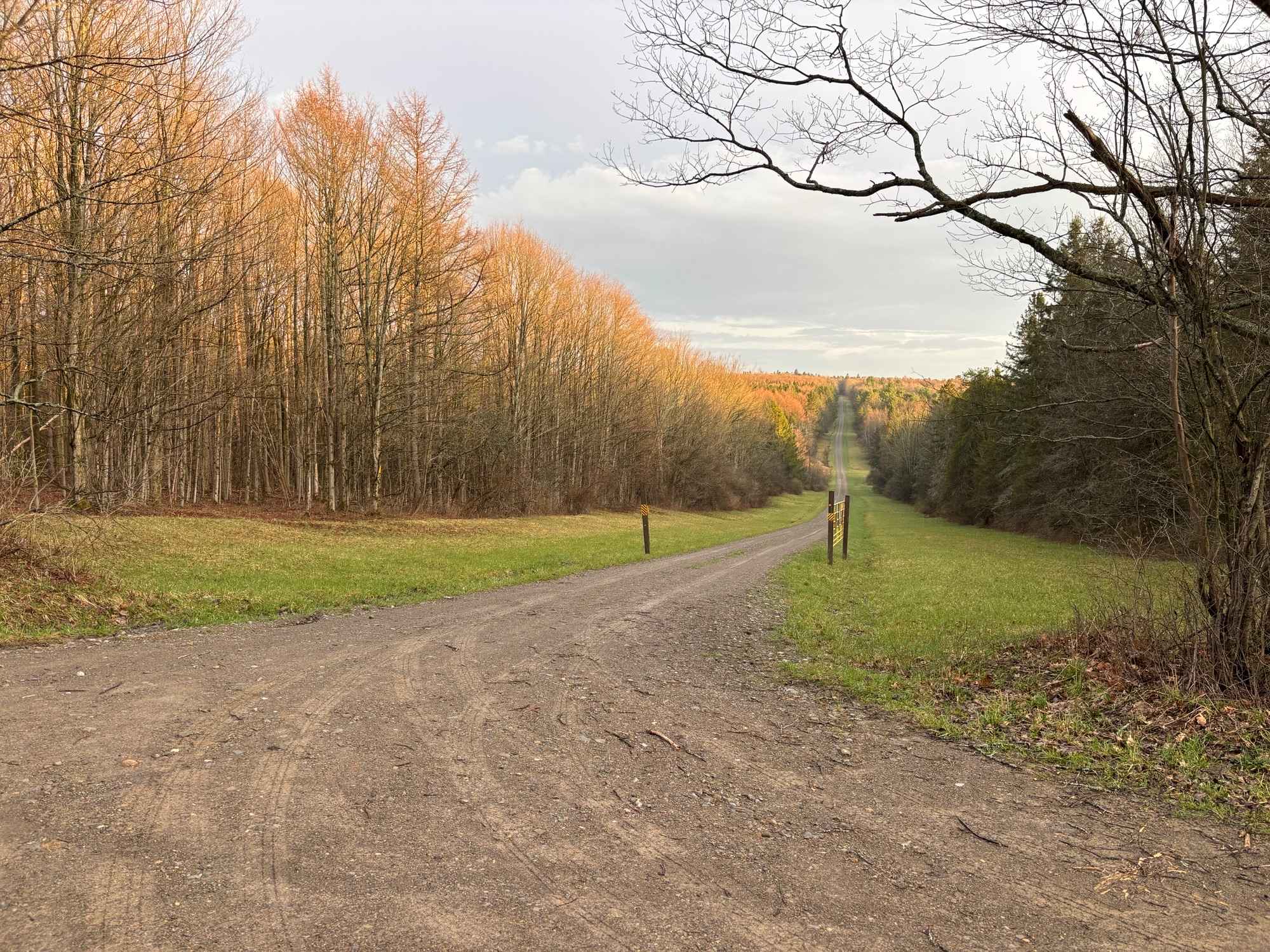 Stewart Forest Road