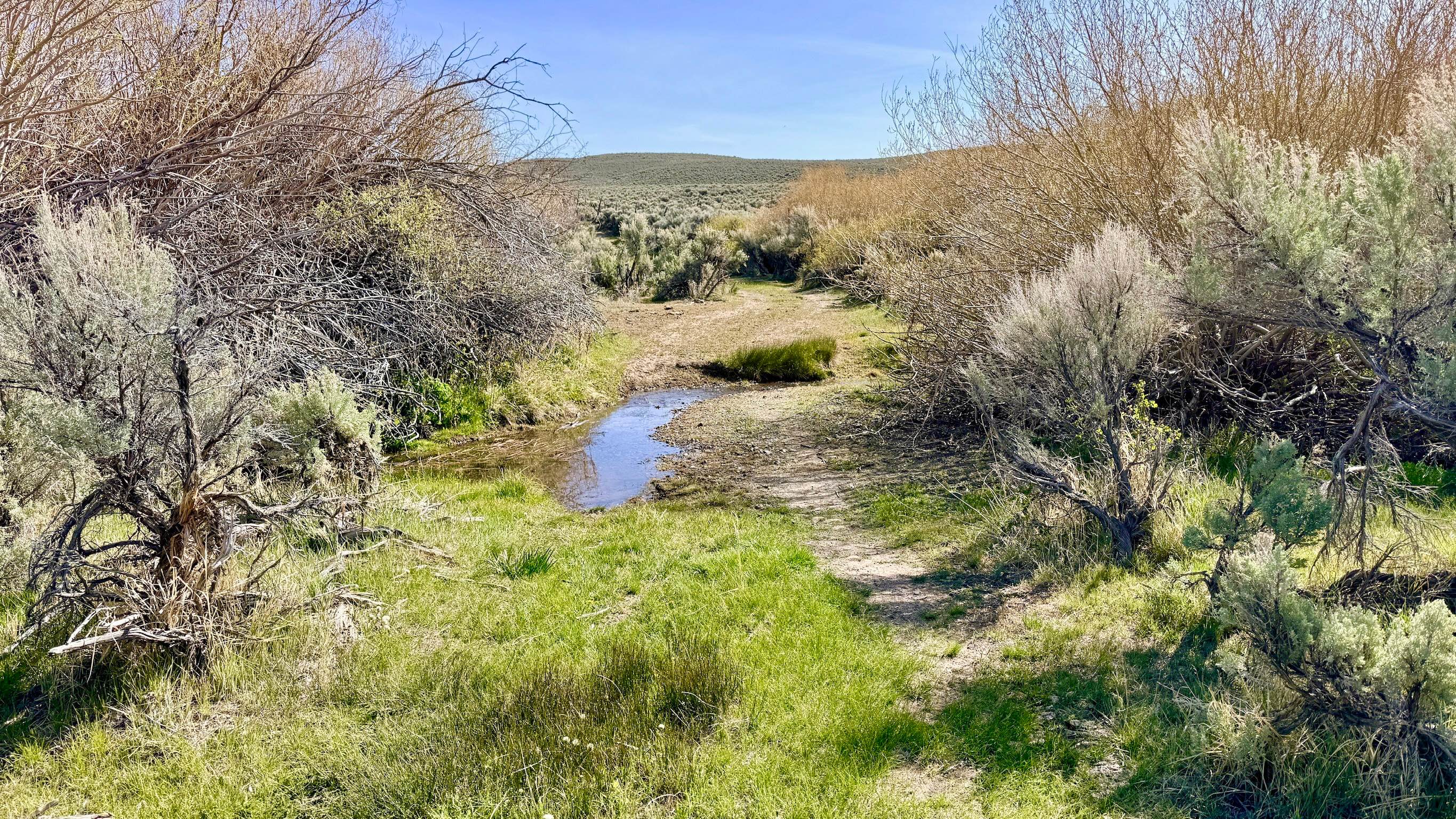 Barton Creek-Willow Creek Loop - FS 43011