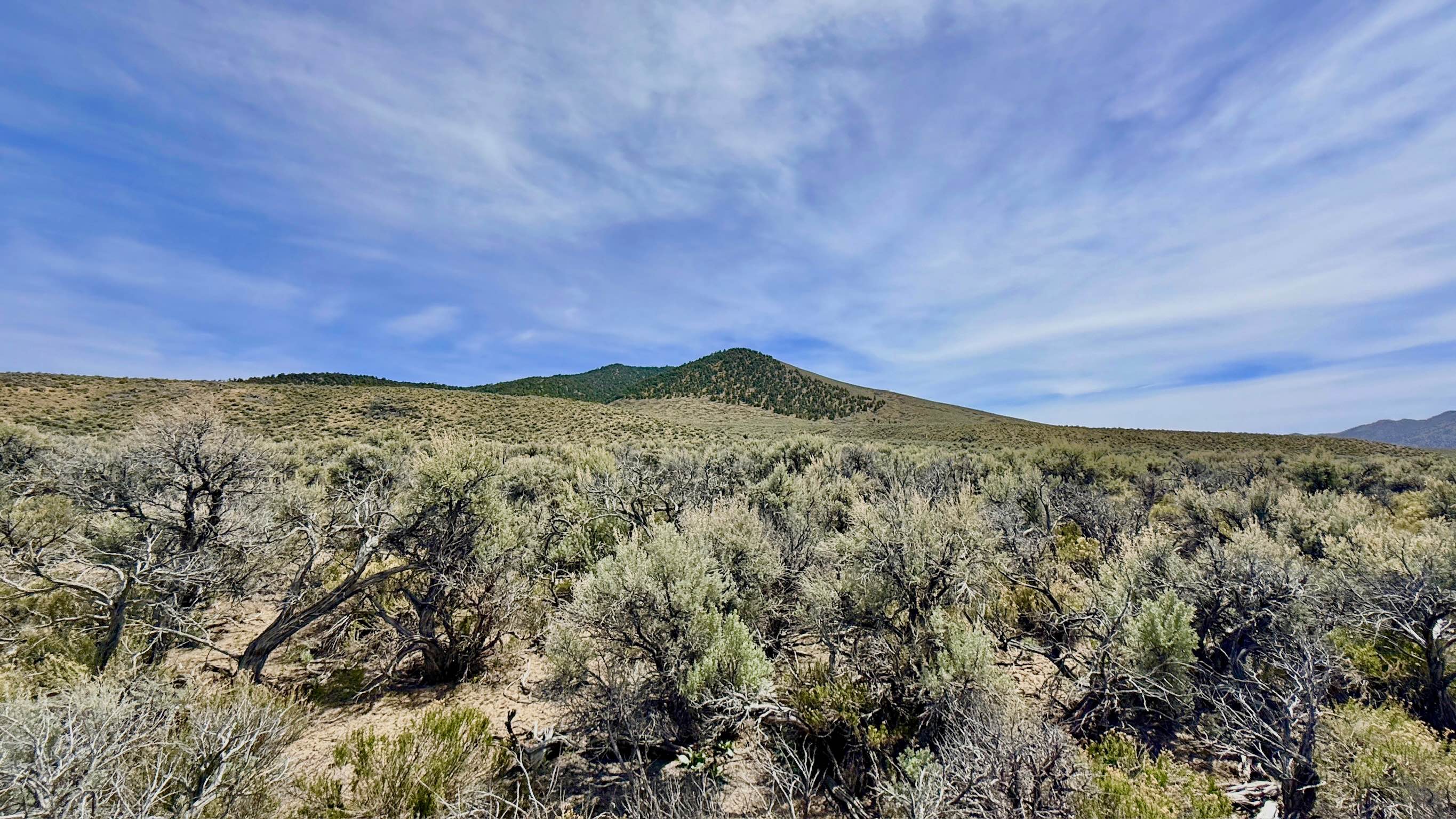 Streshley Springs FS42496