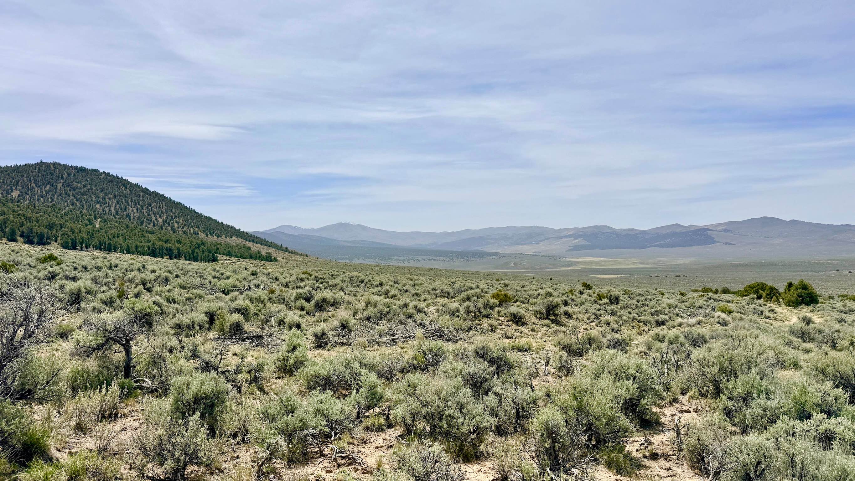Willow Creek Ranch Cutoff FS43496A