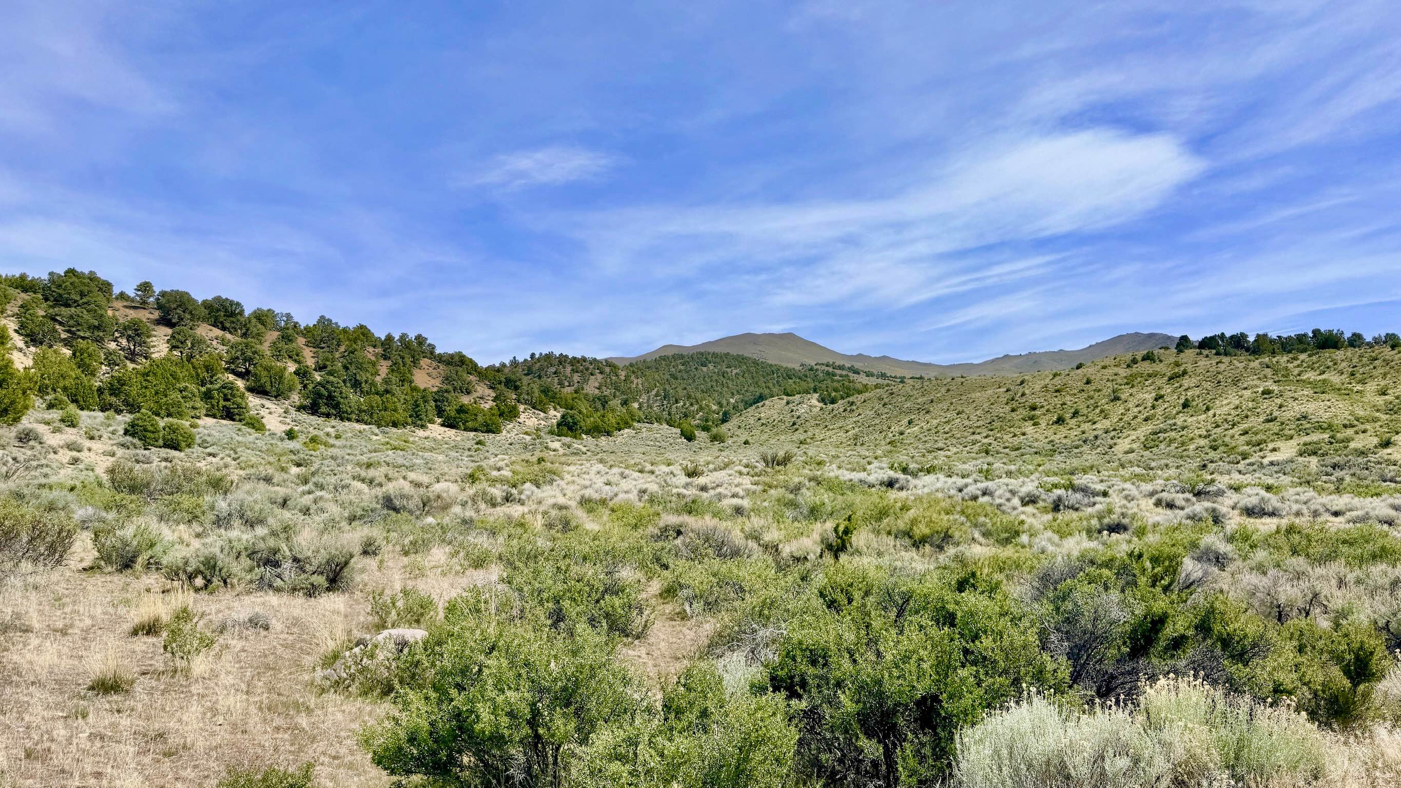 Apex Mine Alternate FS43238