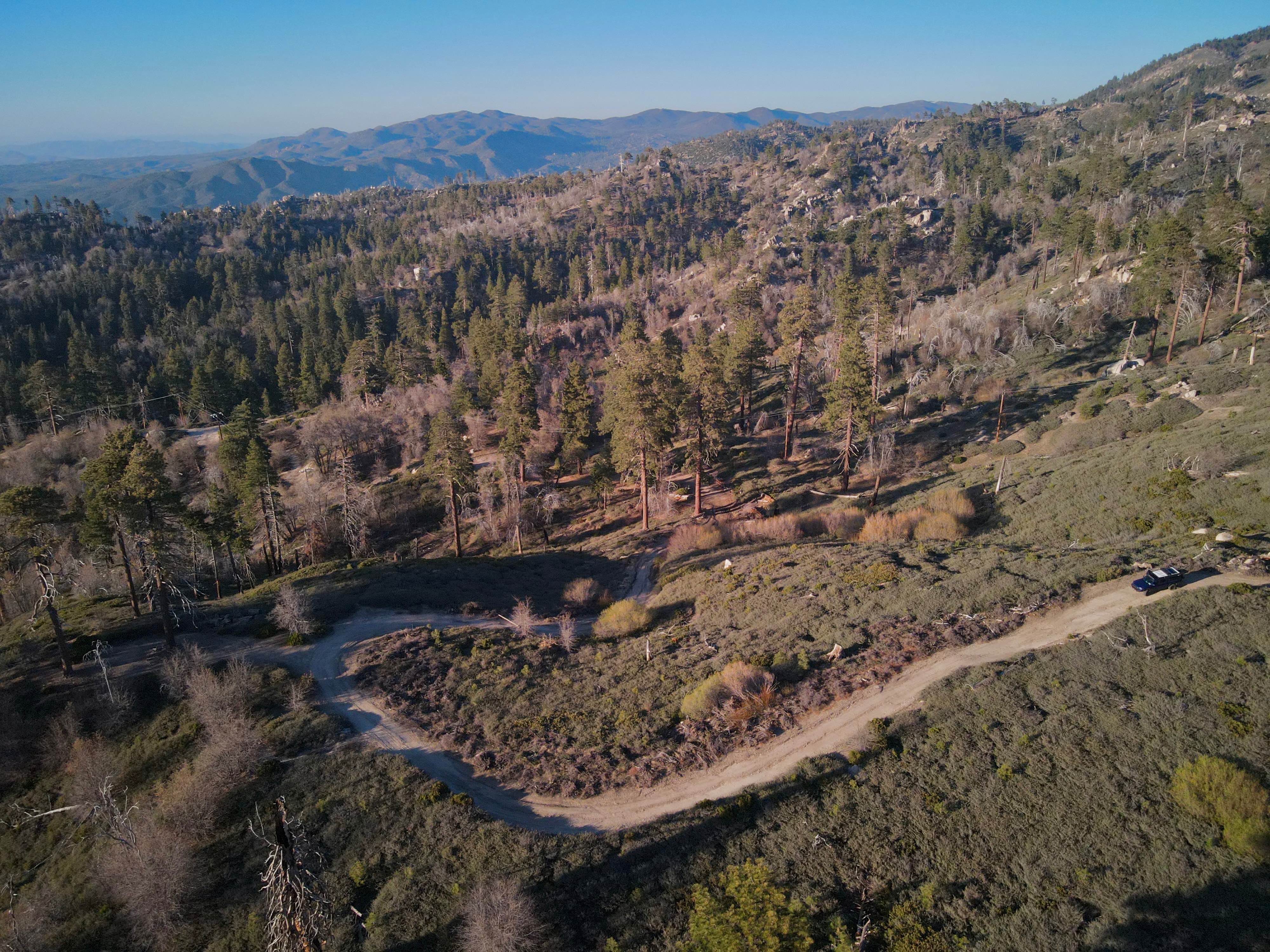 Little Green Valley
