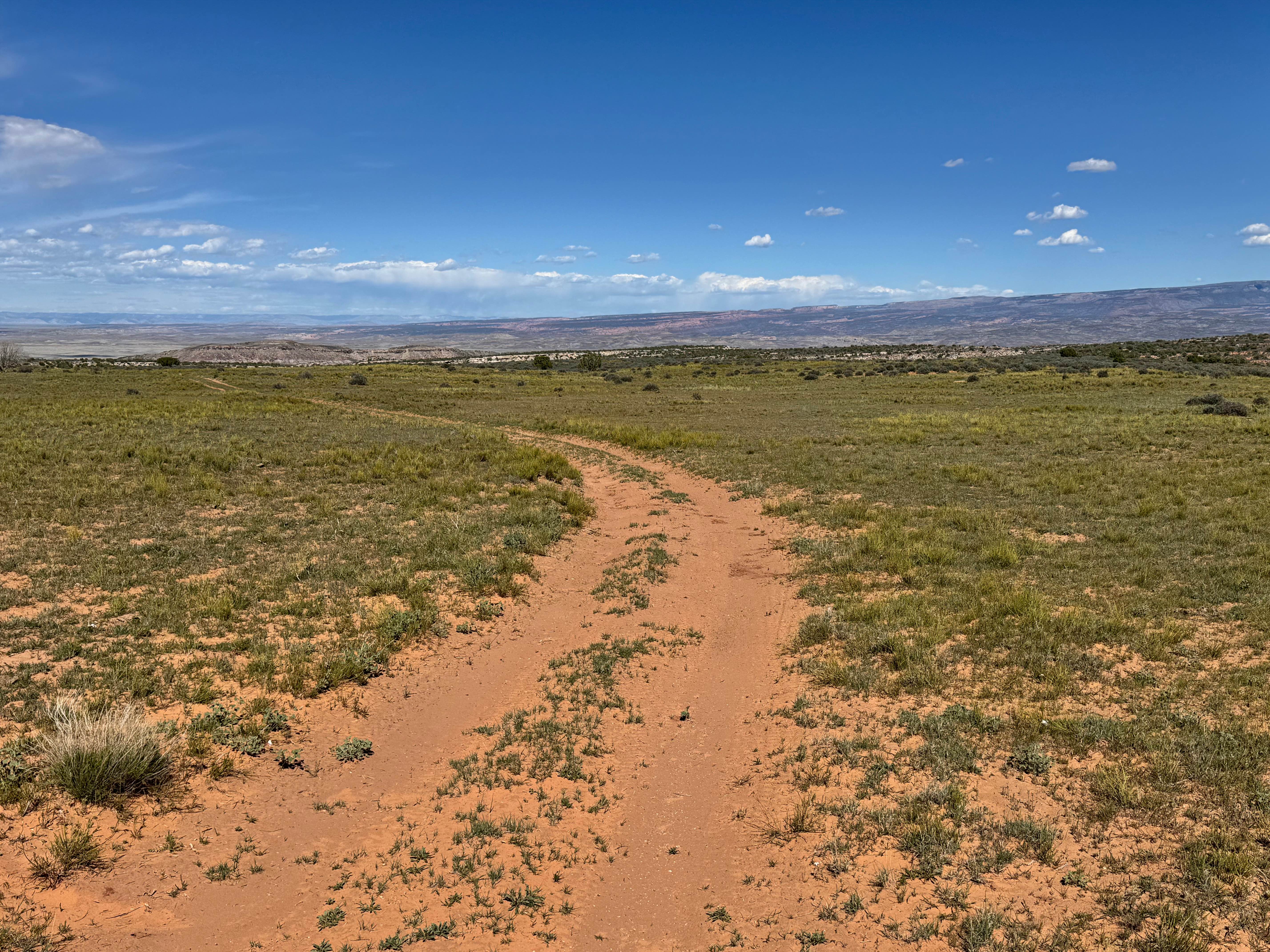 Cisco Claymore Hills Connector