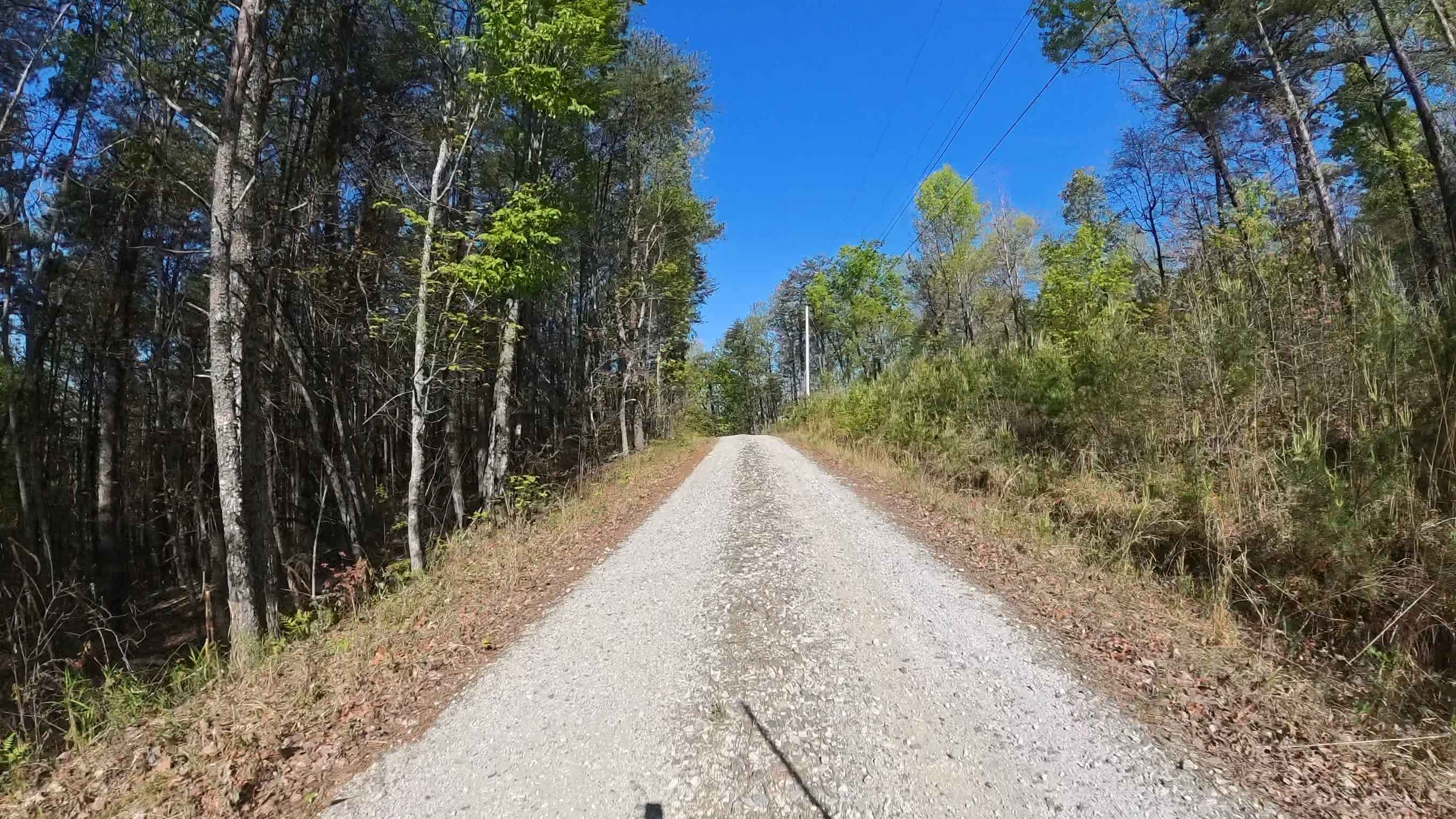 Forest Road 752