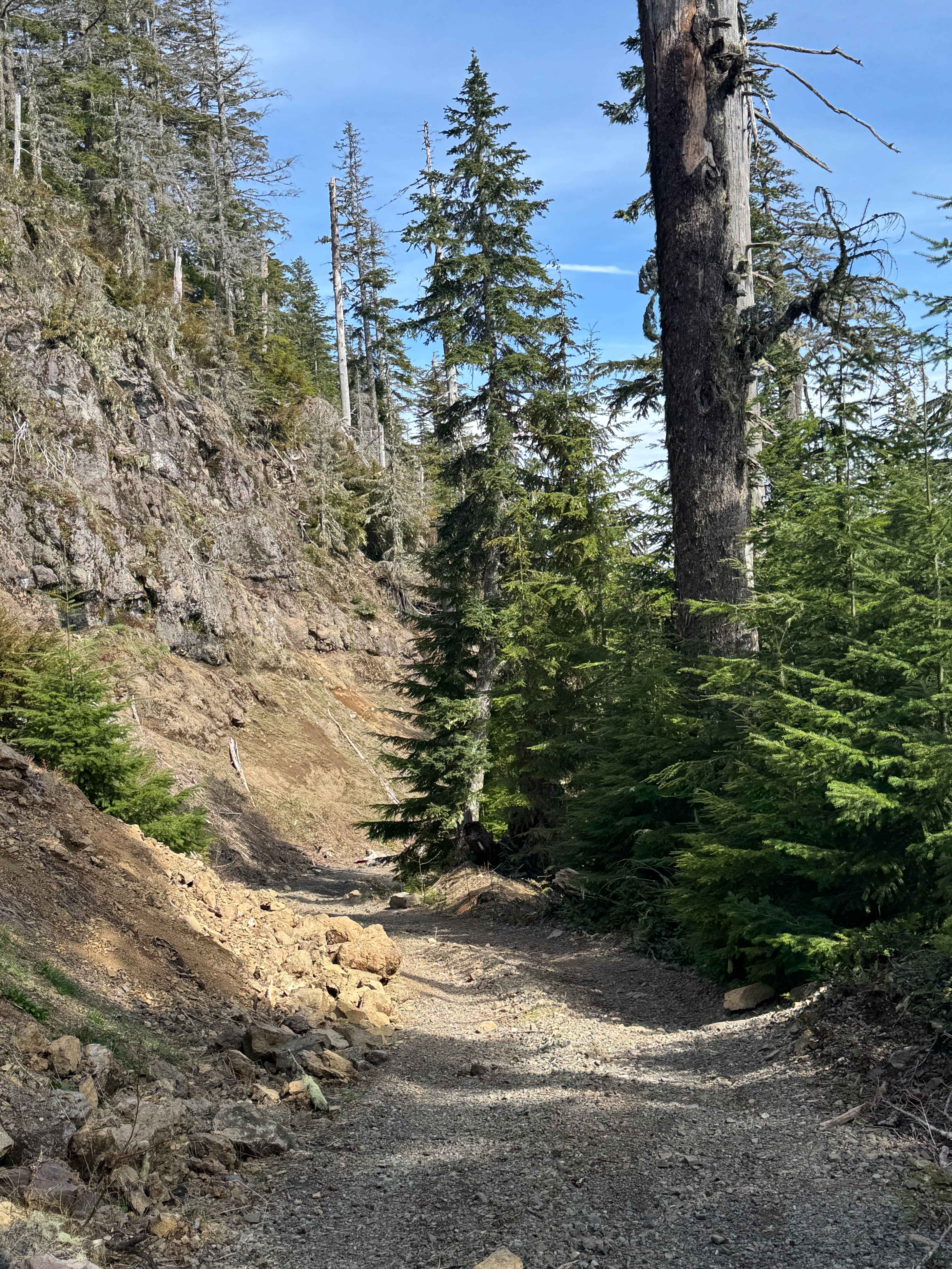 Winston Road- FS 7415