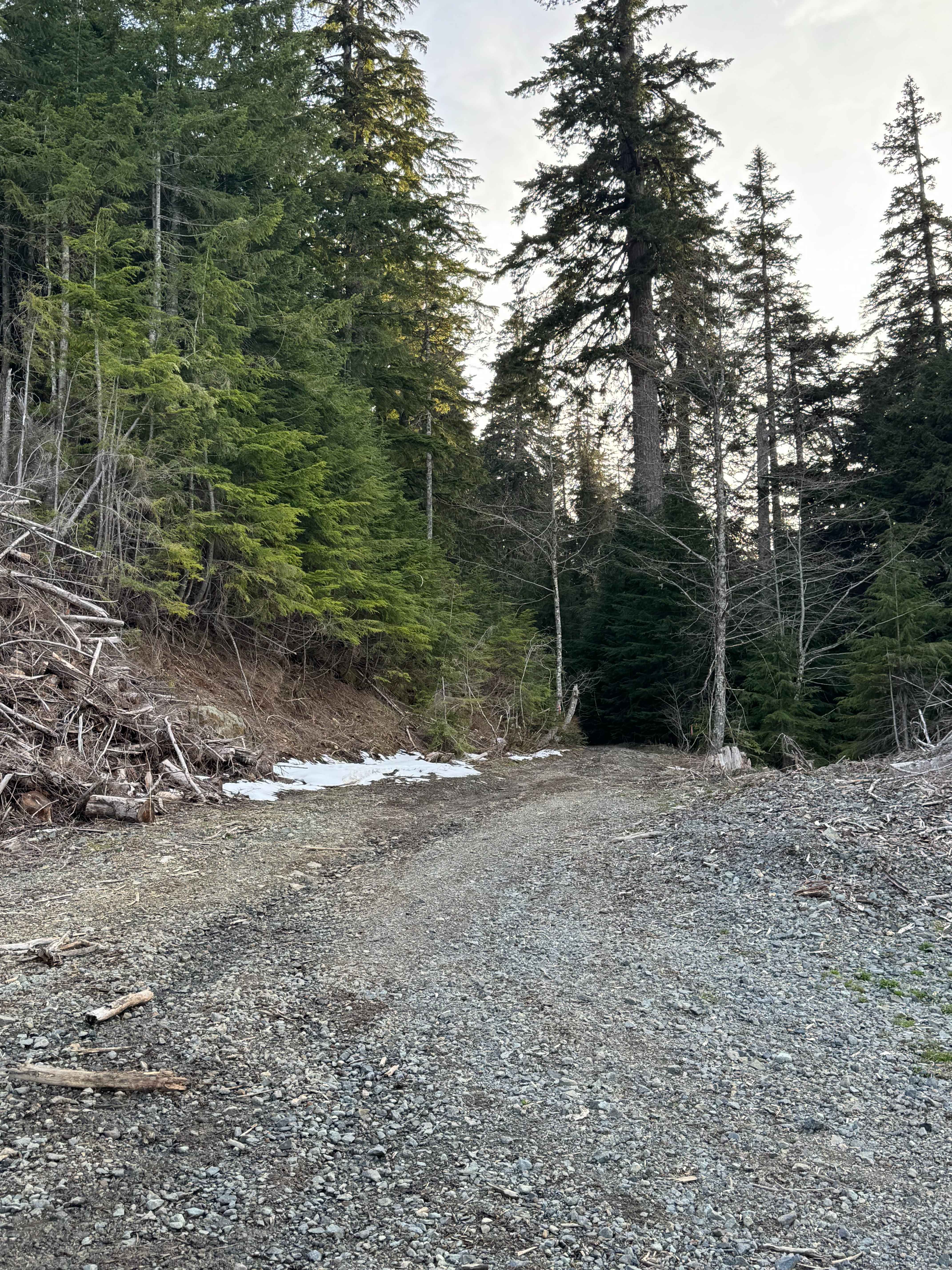 Newaukum Lake Road - FS 7100115