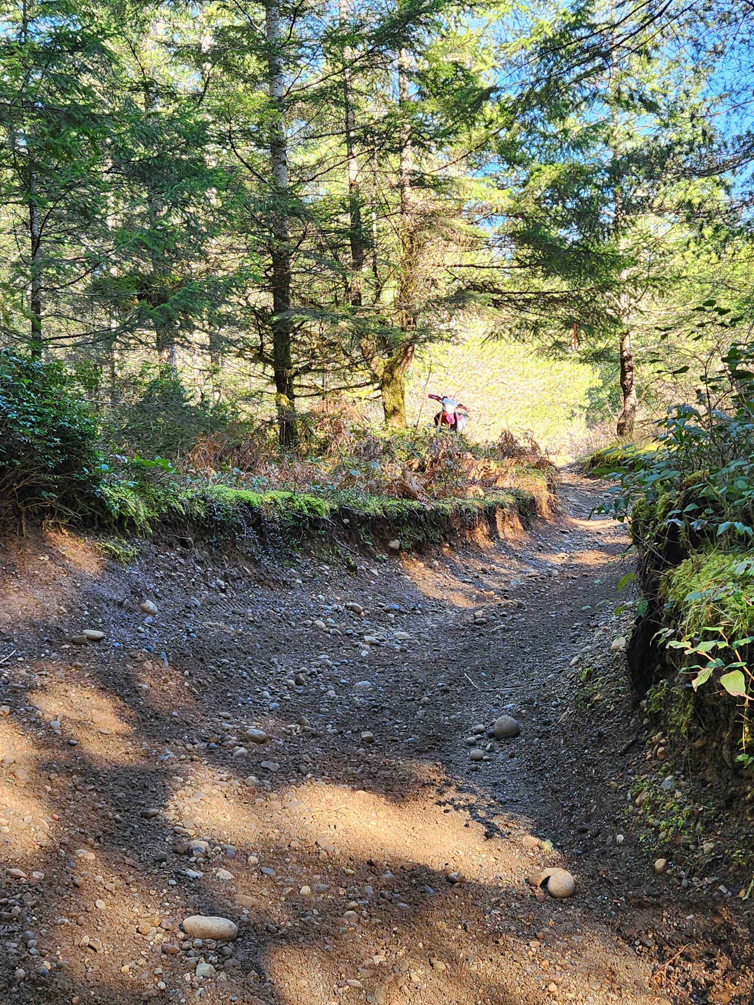 Loop Trail