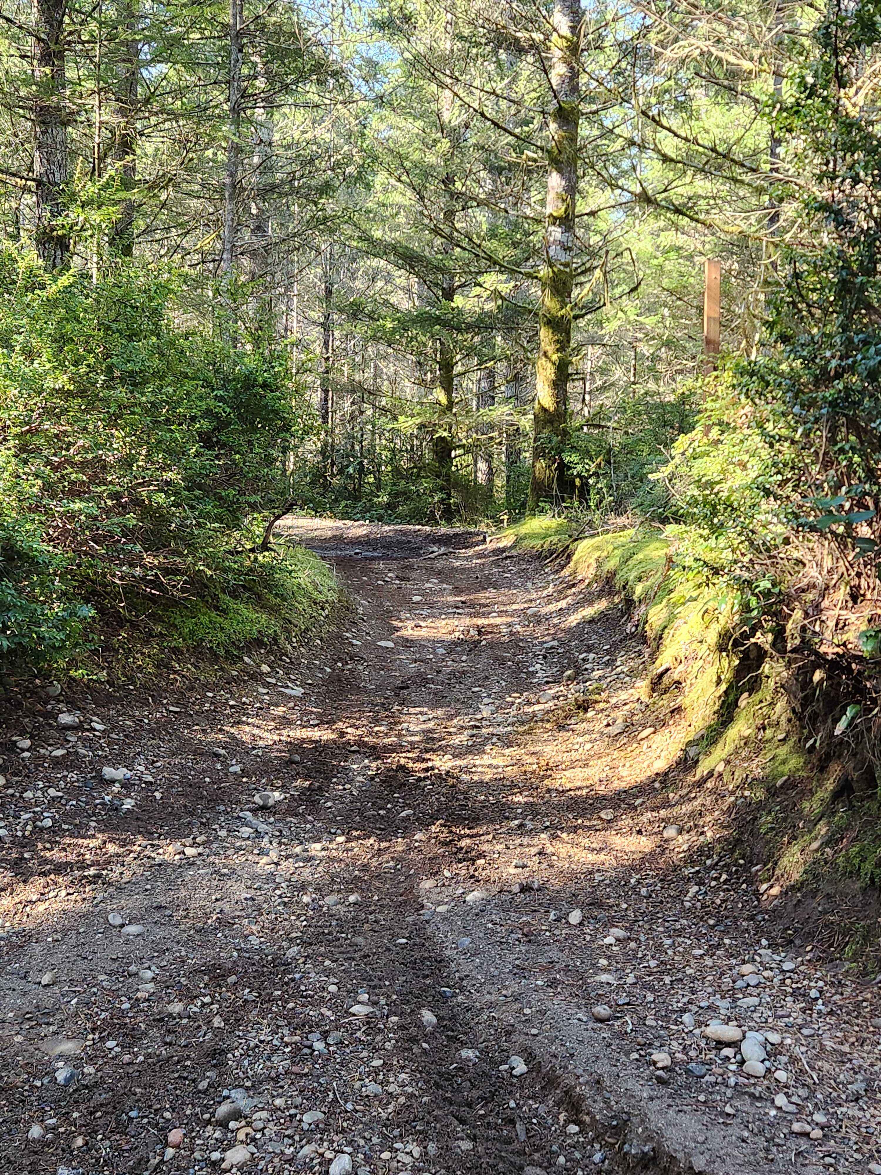 Loop Trail