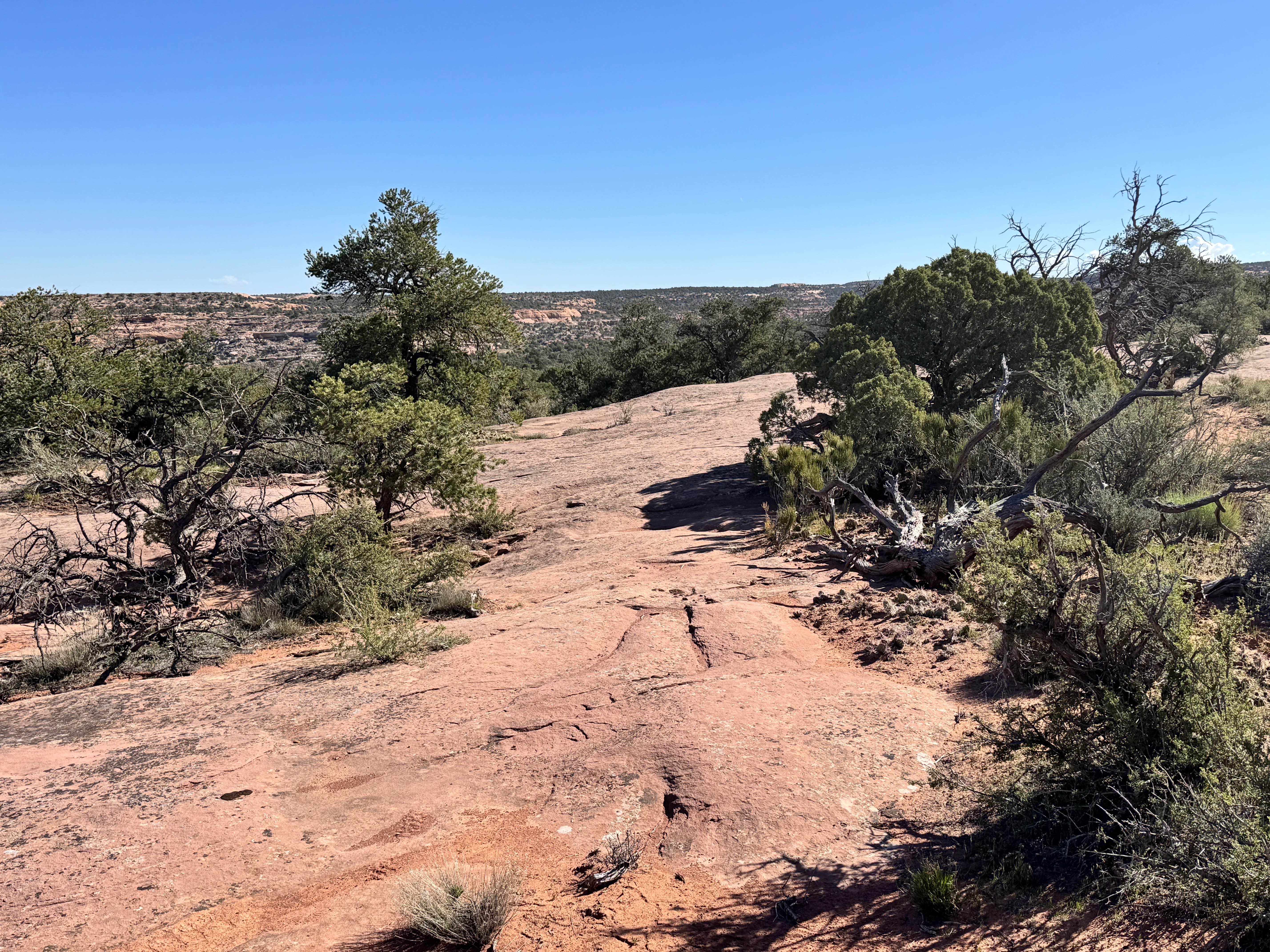 Arches View Connector