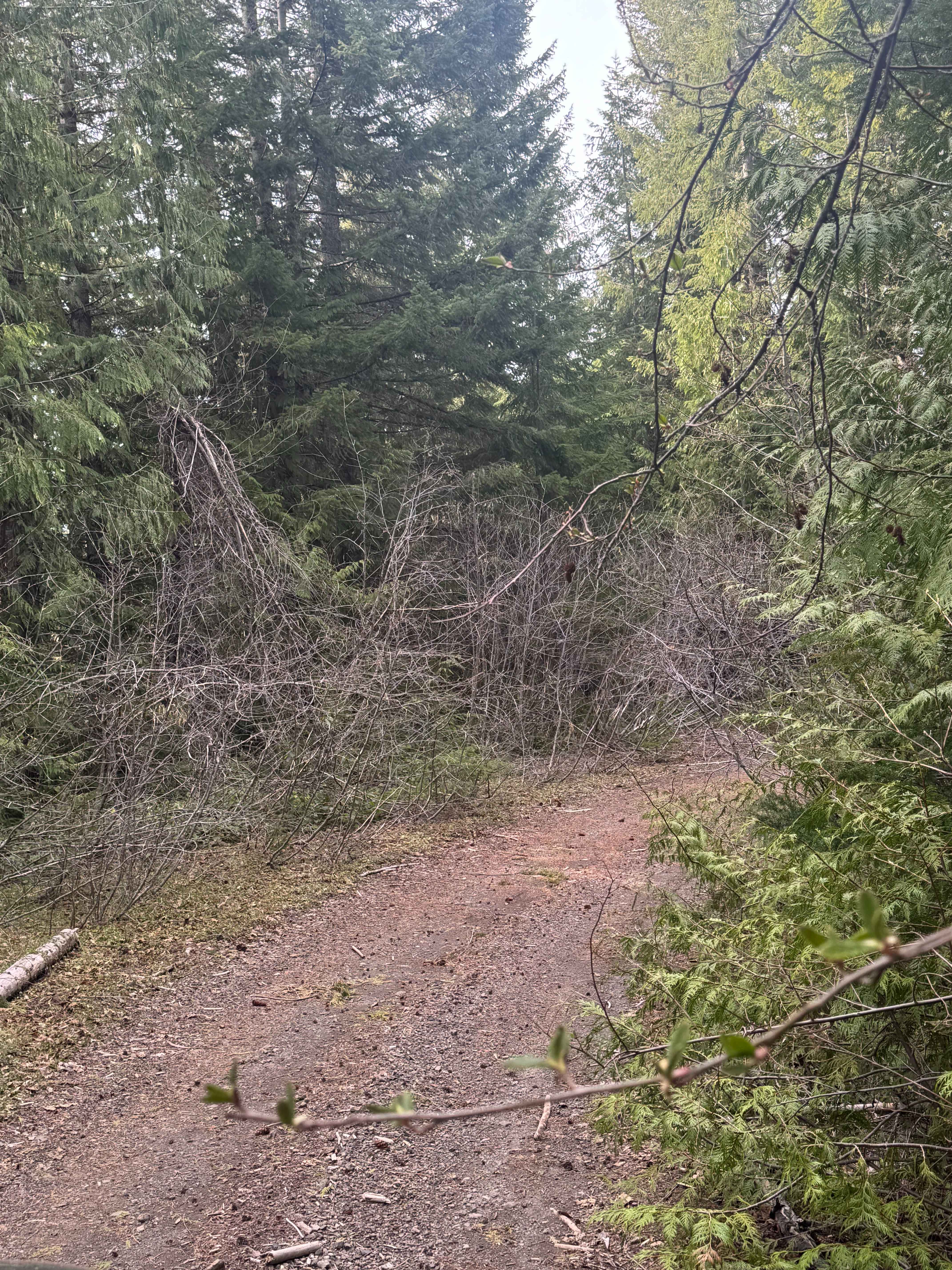 North Fork Tilton Road - FS 7300