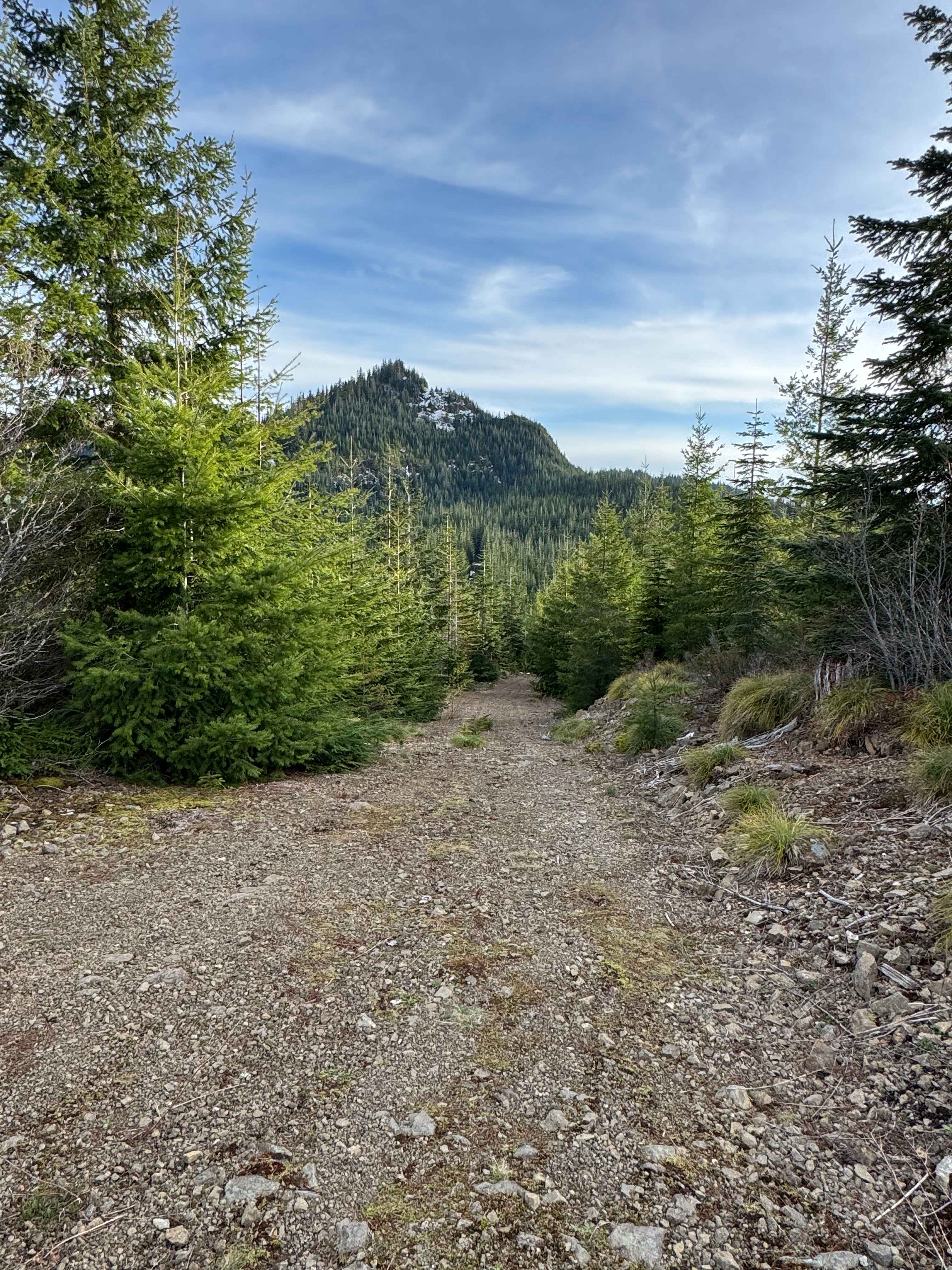 North Fork Tilton Road - FS 7300