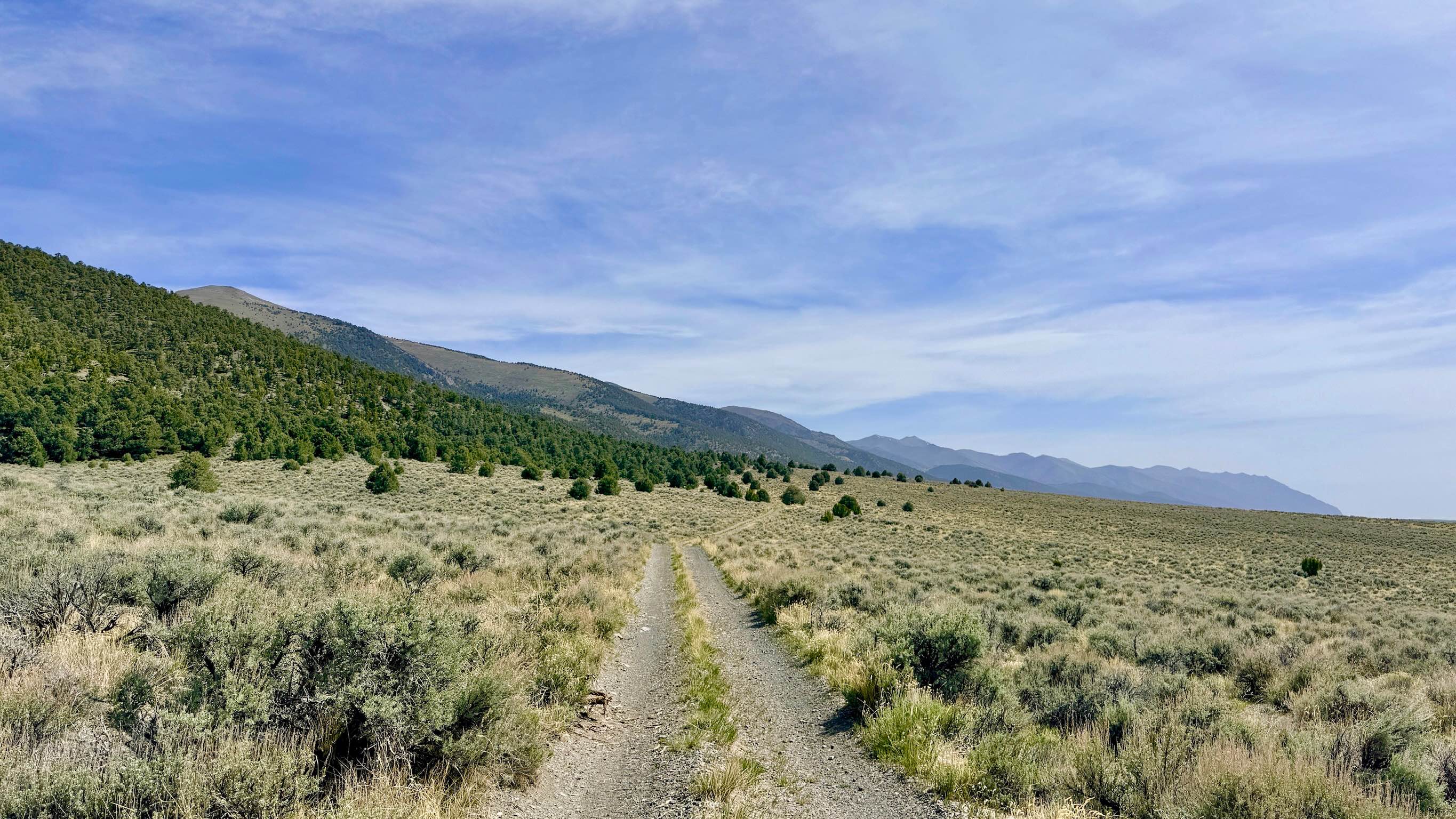 Dry Canyon Alternate - FS 43231