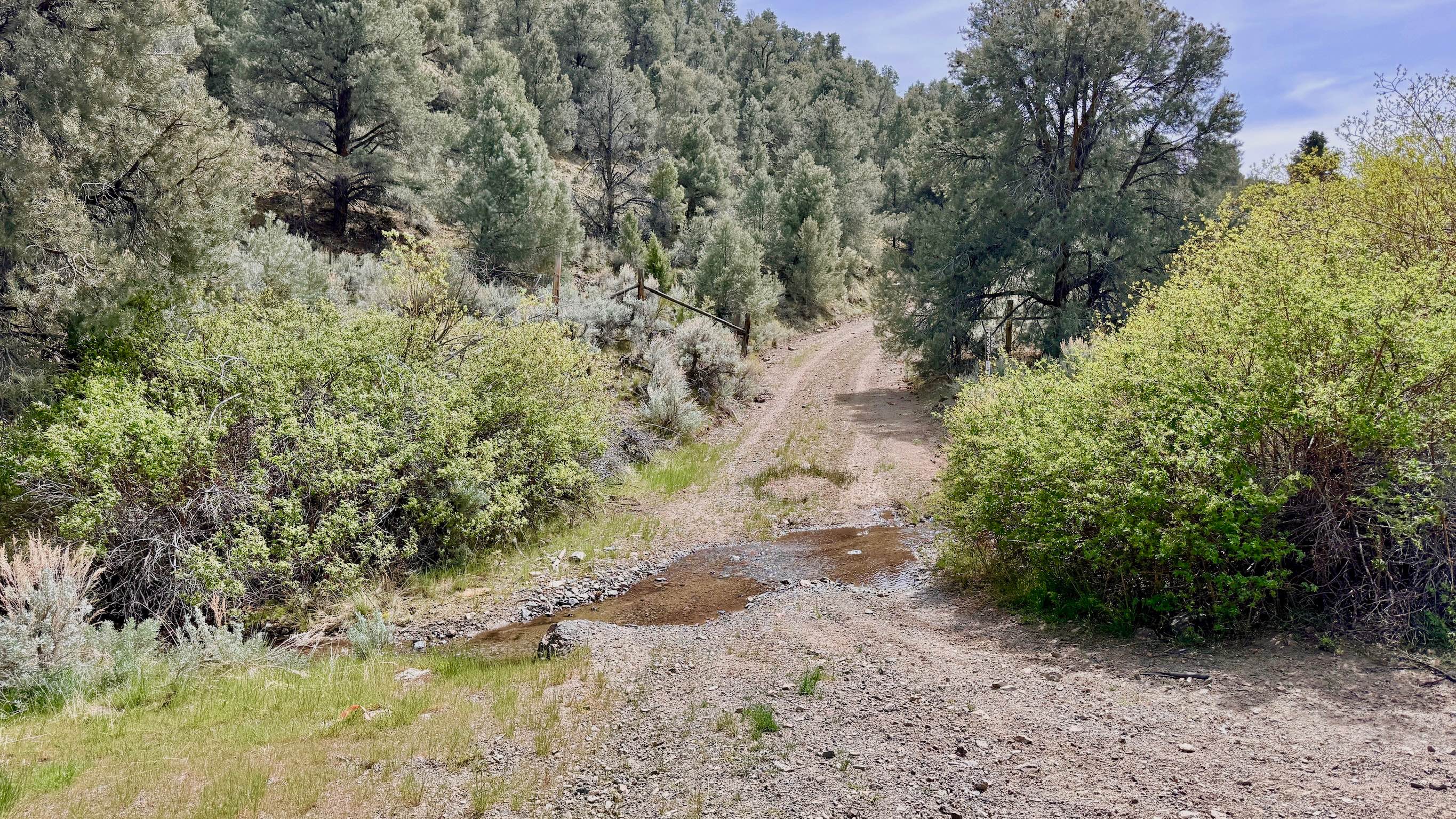 Dry Canyon Alternate - FS 43231