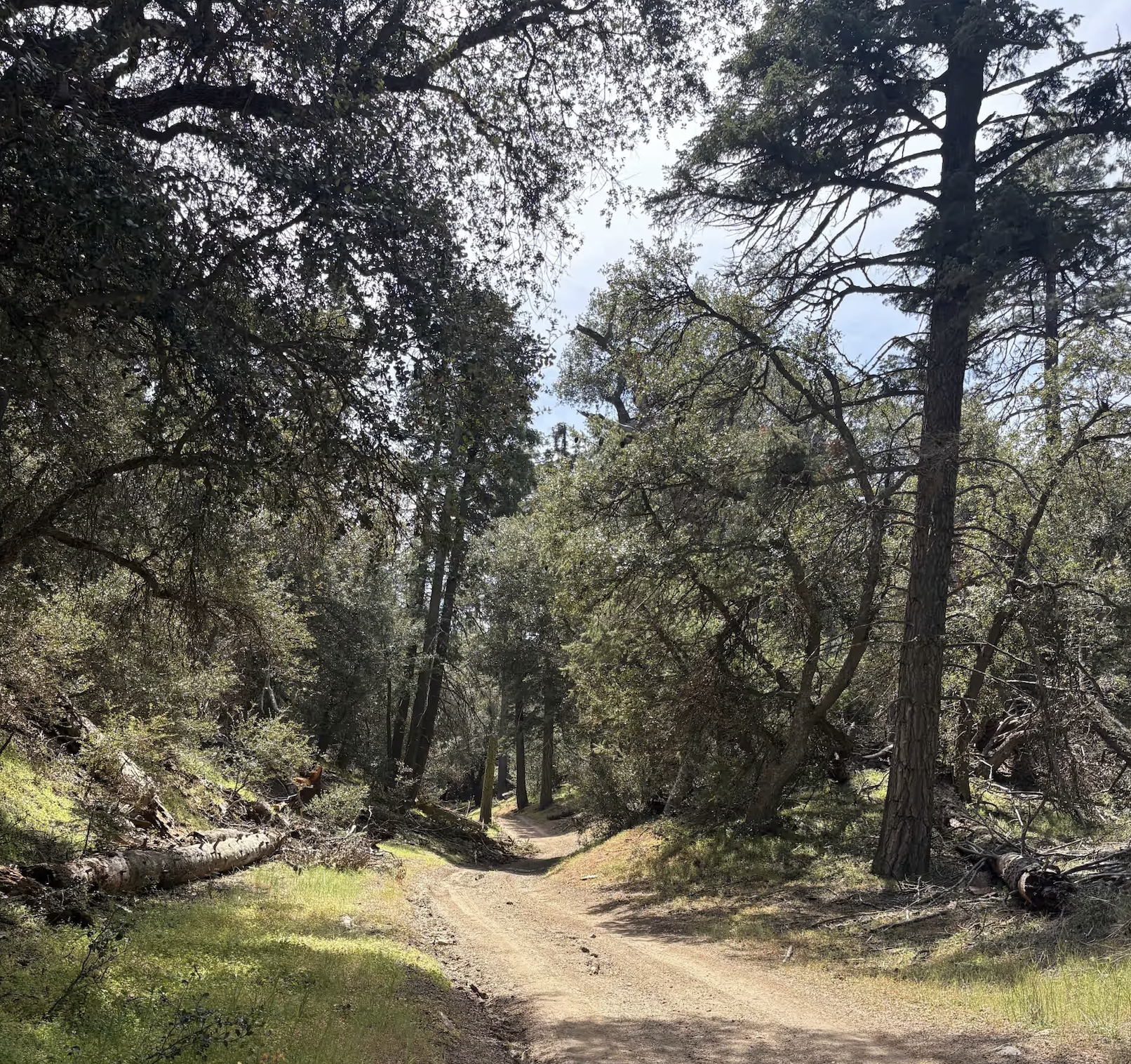 Cherry Creek - FS 20W14