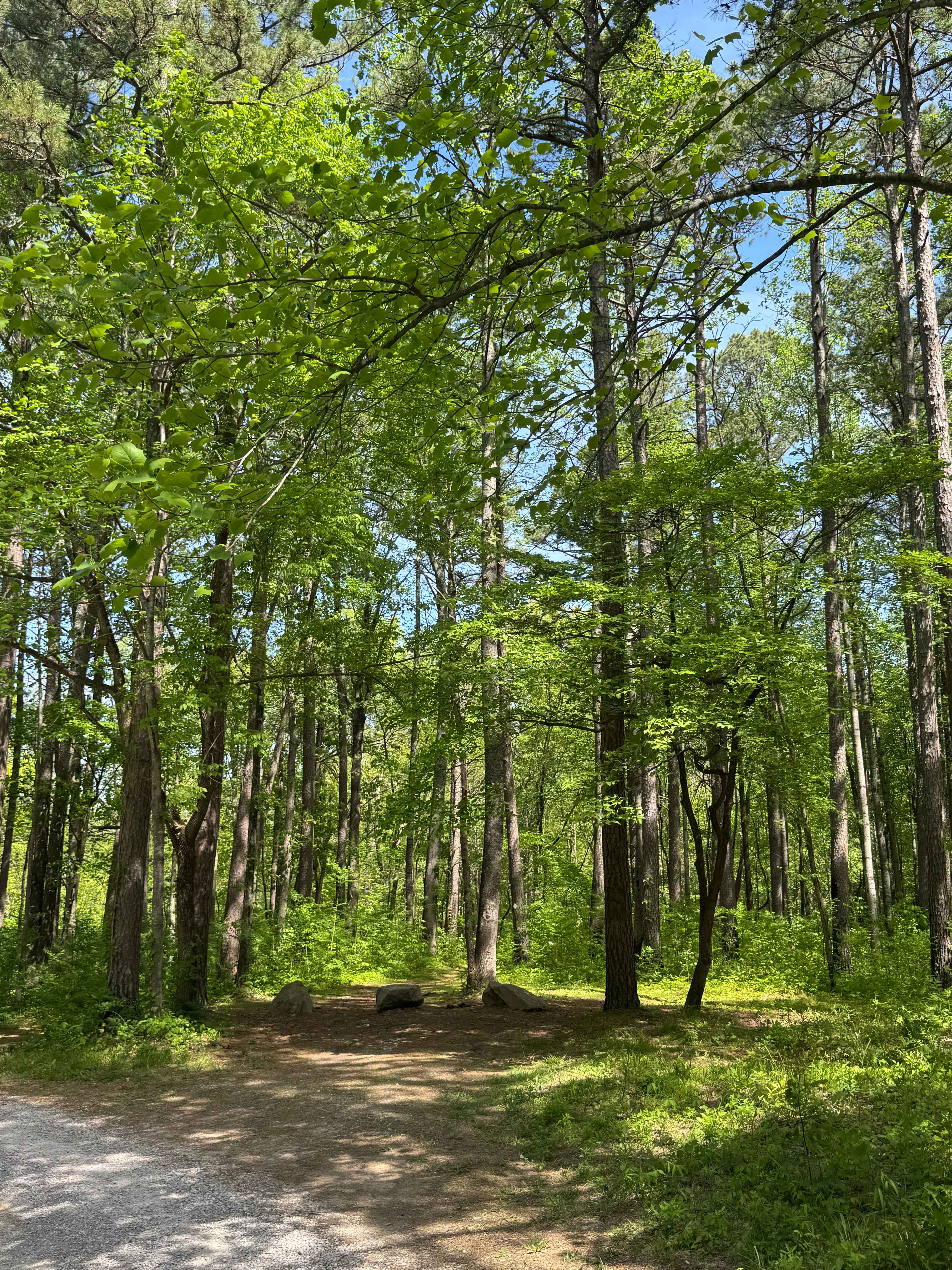 One Horse Gap Lake Trail