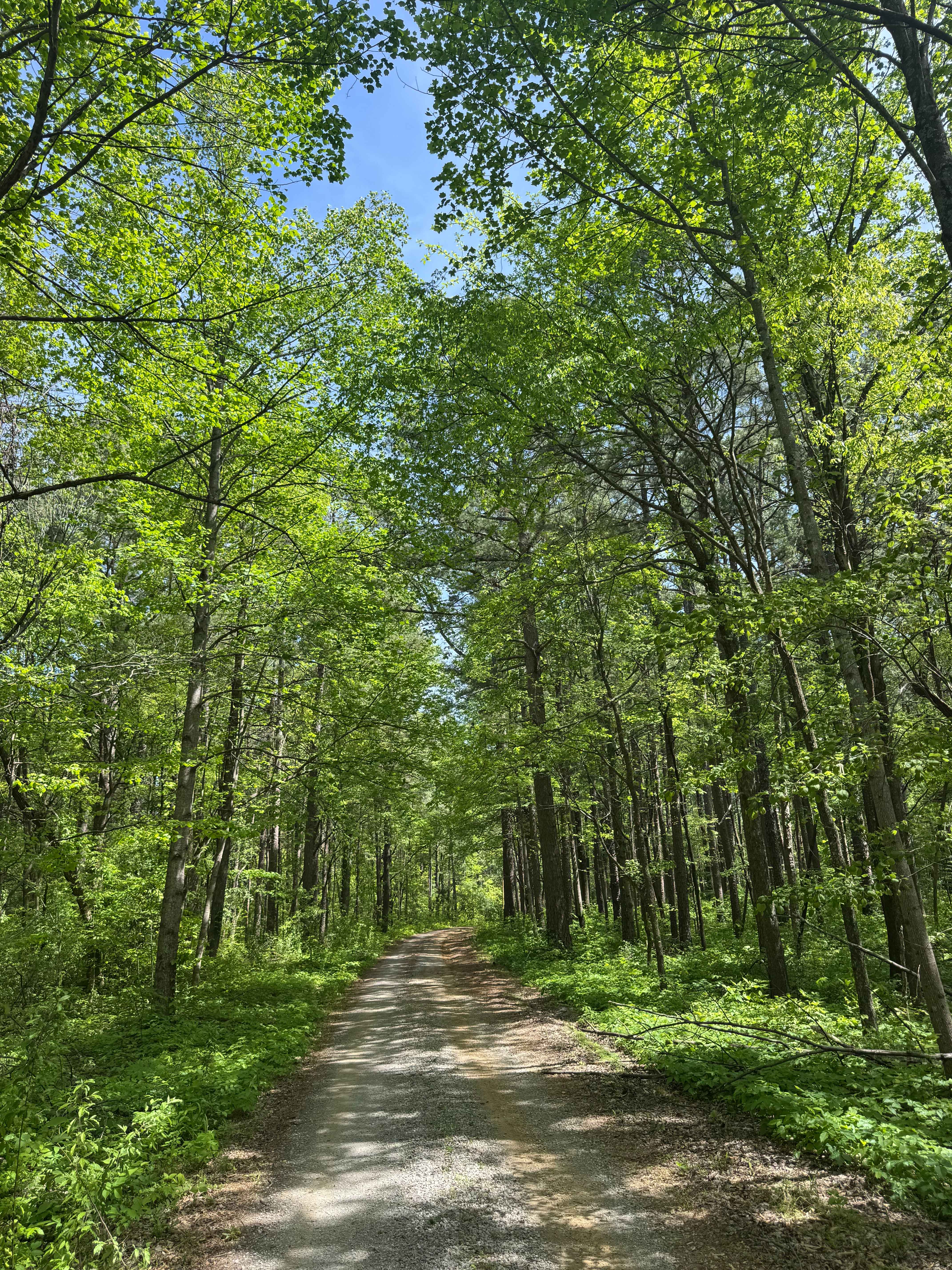 Benham Hill Trail