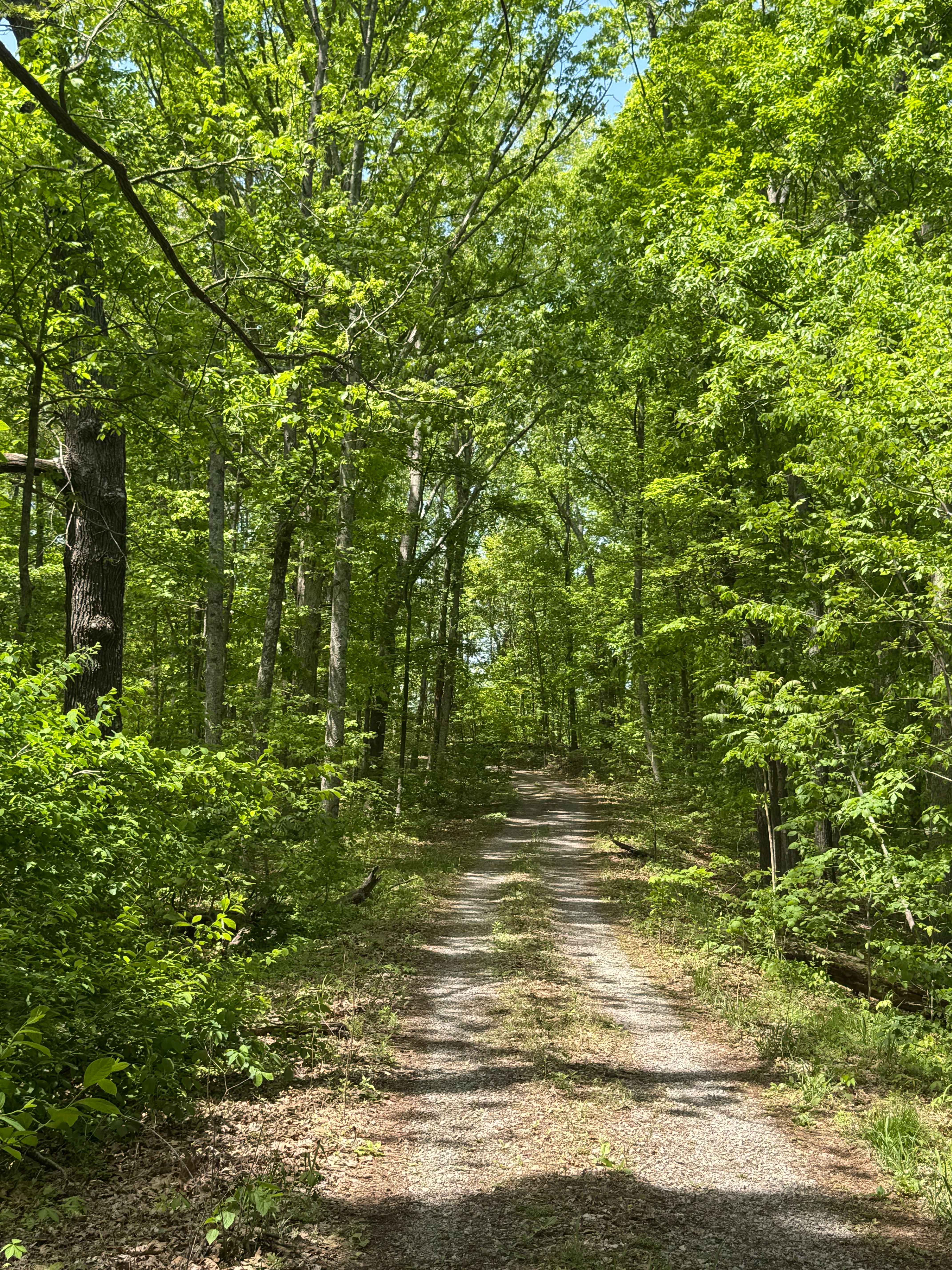 Goose Ridge Trail