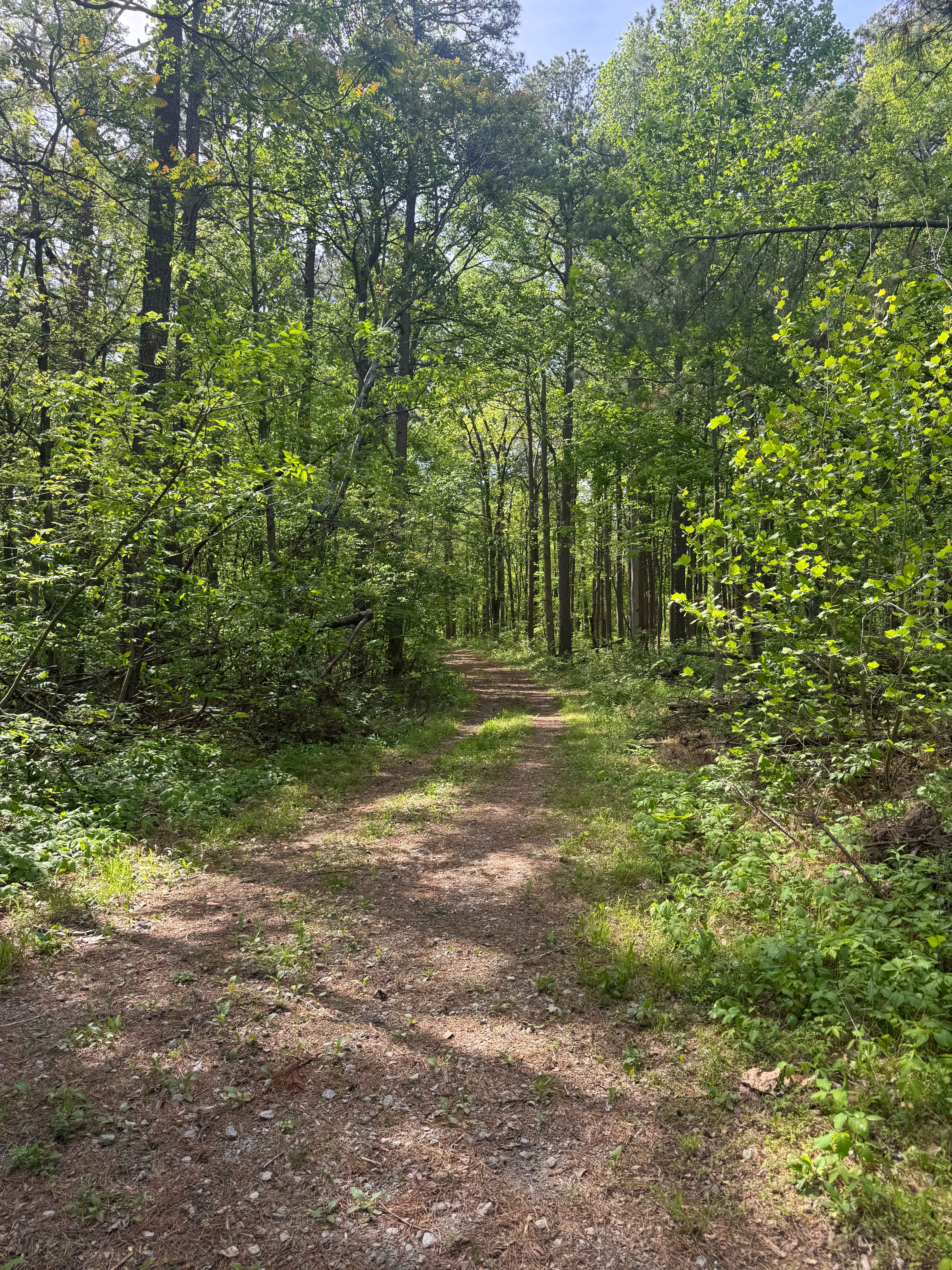 River to River Trail