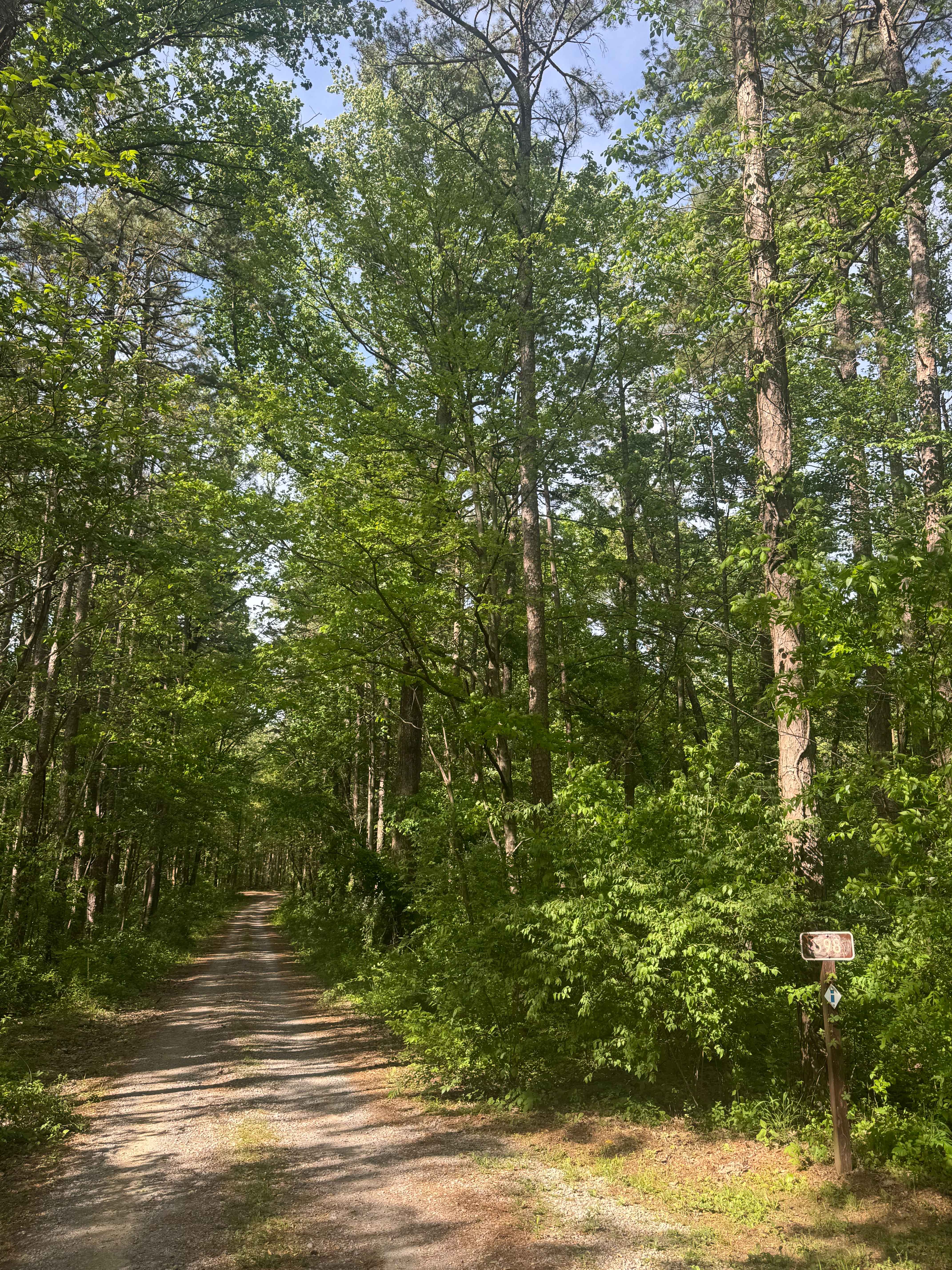 Cadiz Campground Trail