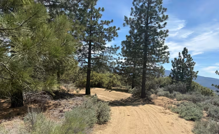 Tecuya Ace - FS 9N22